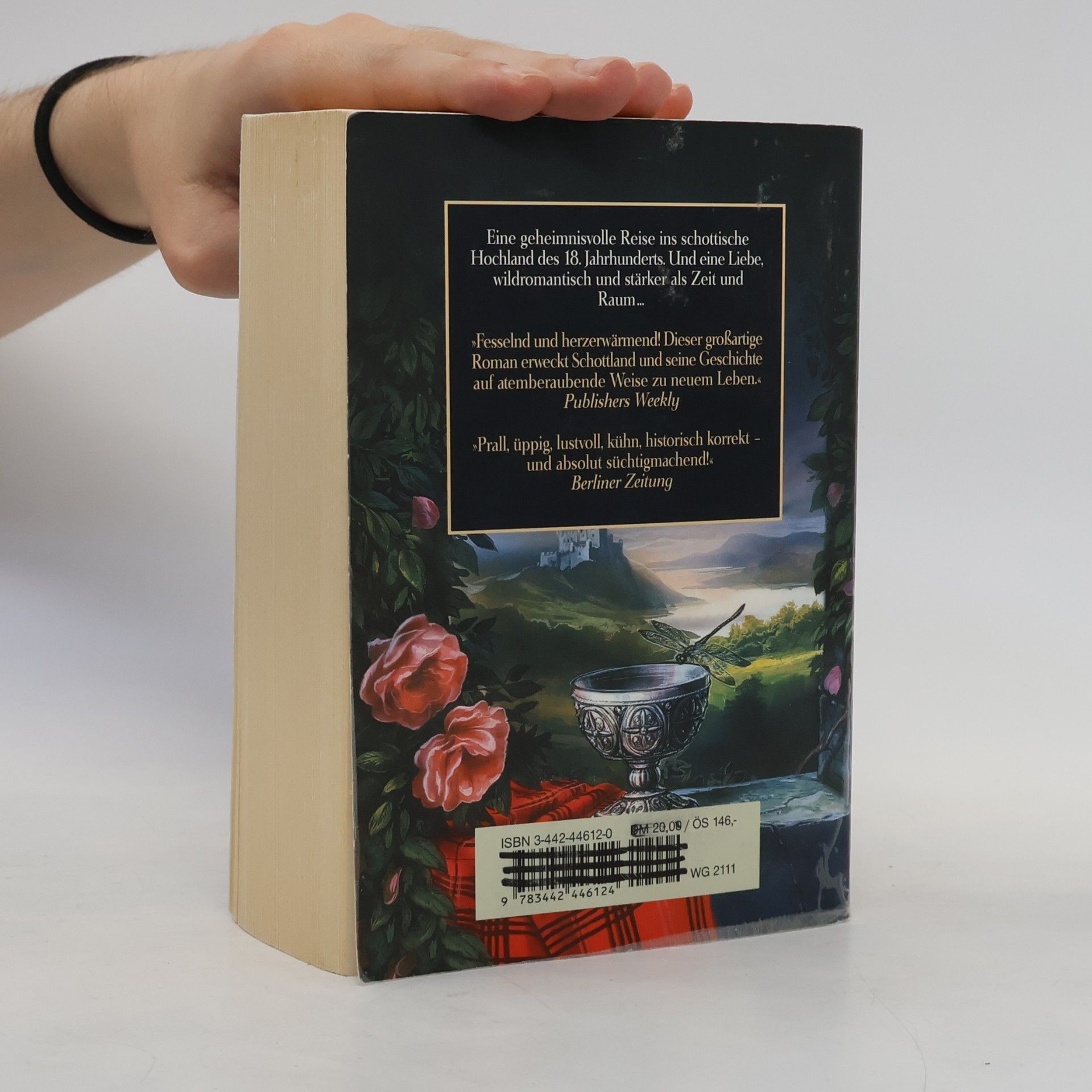 Diana Gabaldon Feuer und Stein