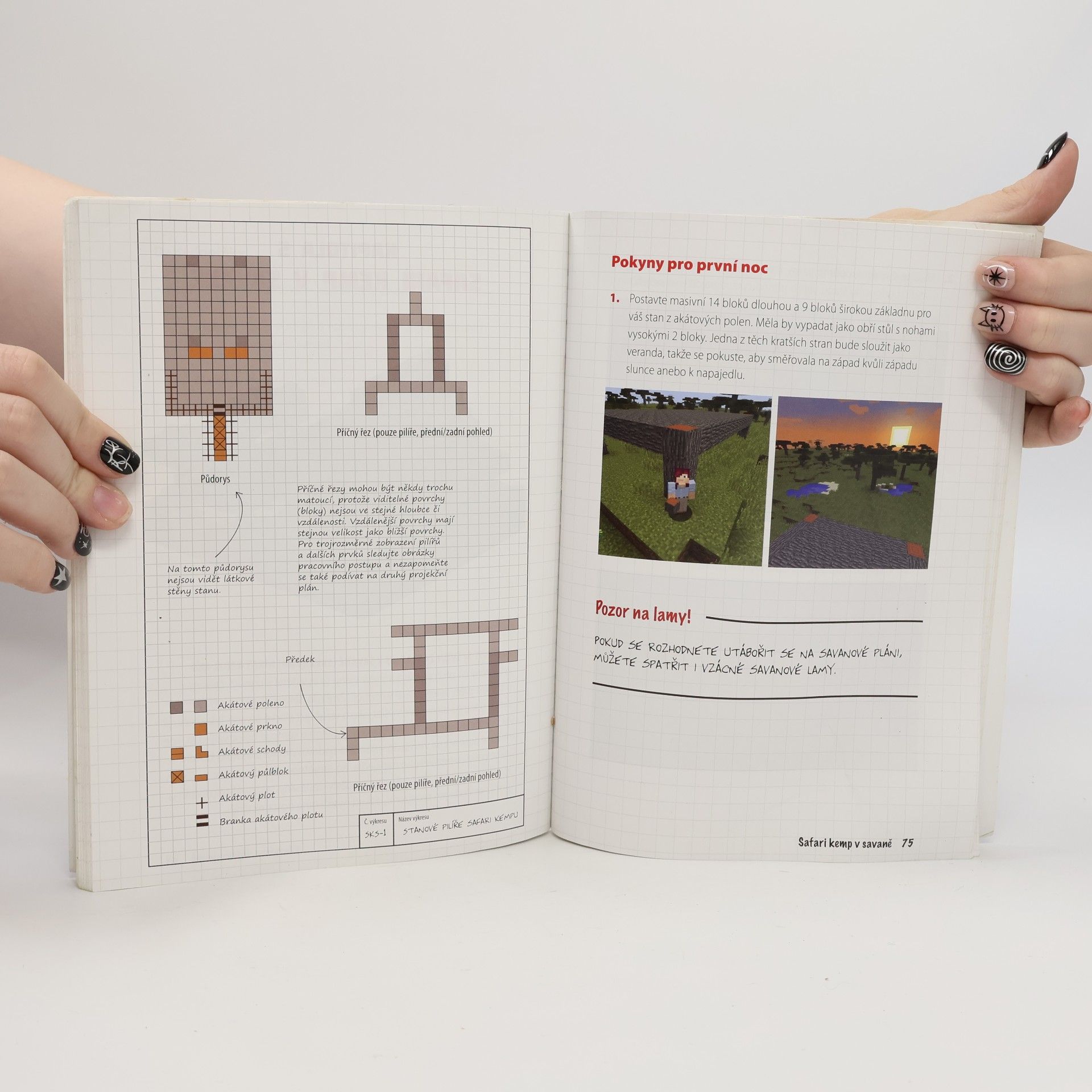 Megan Miller Minecrafťák architekt. Úžasné stavby krok za krokem