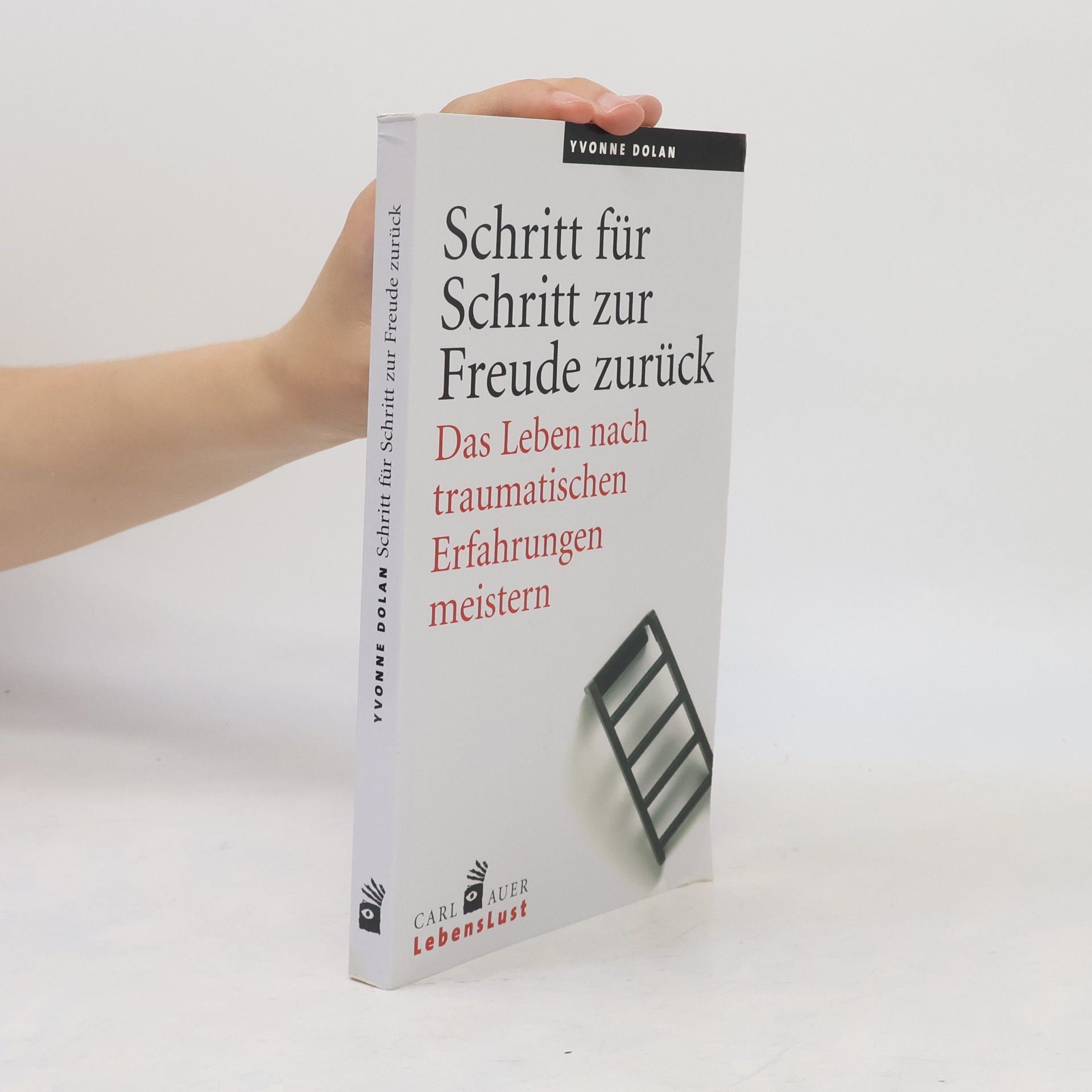 Yvonne Dolan Schritt für Schritt zur Freude zurück