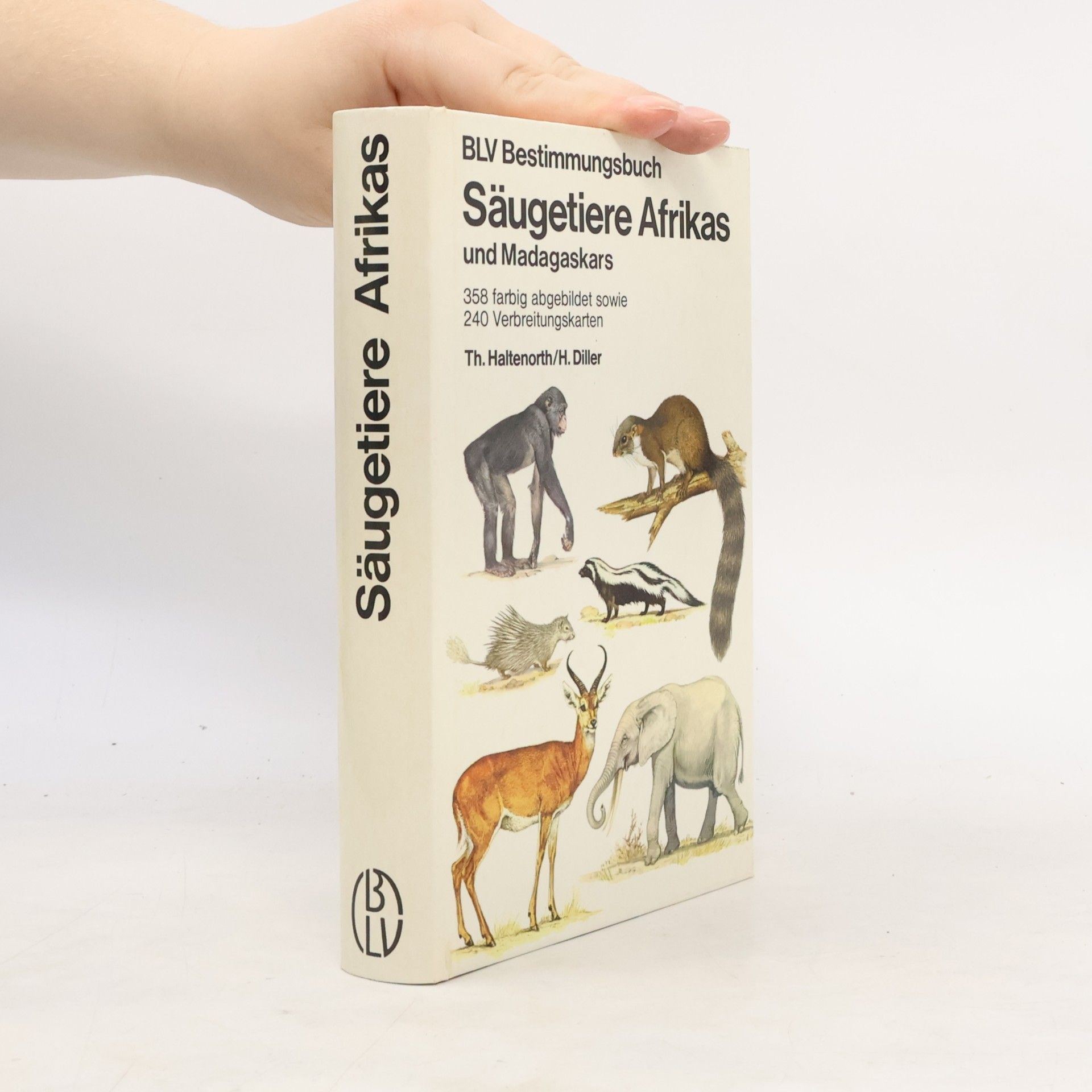 Theodor Haltenorth Säugetiere Afrikas und Madagaskars