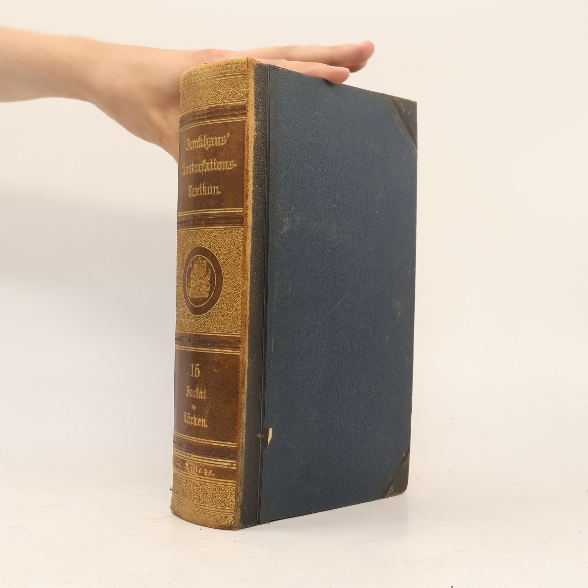 Autorenkollektiv Brockhaus' Konversations-Lexikon 15