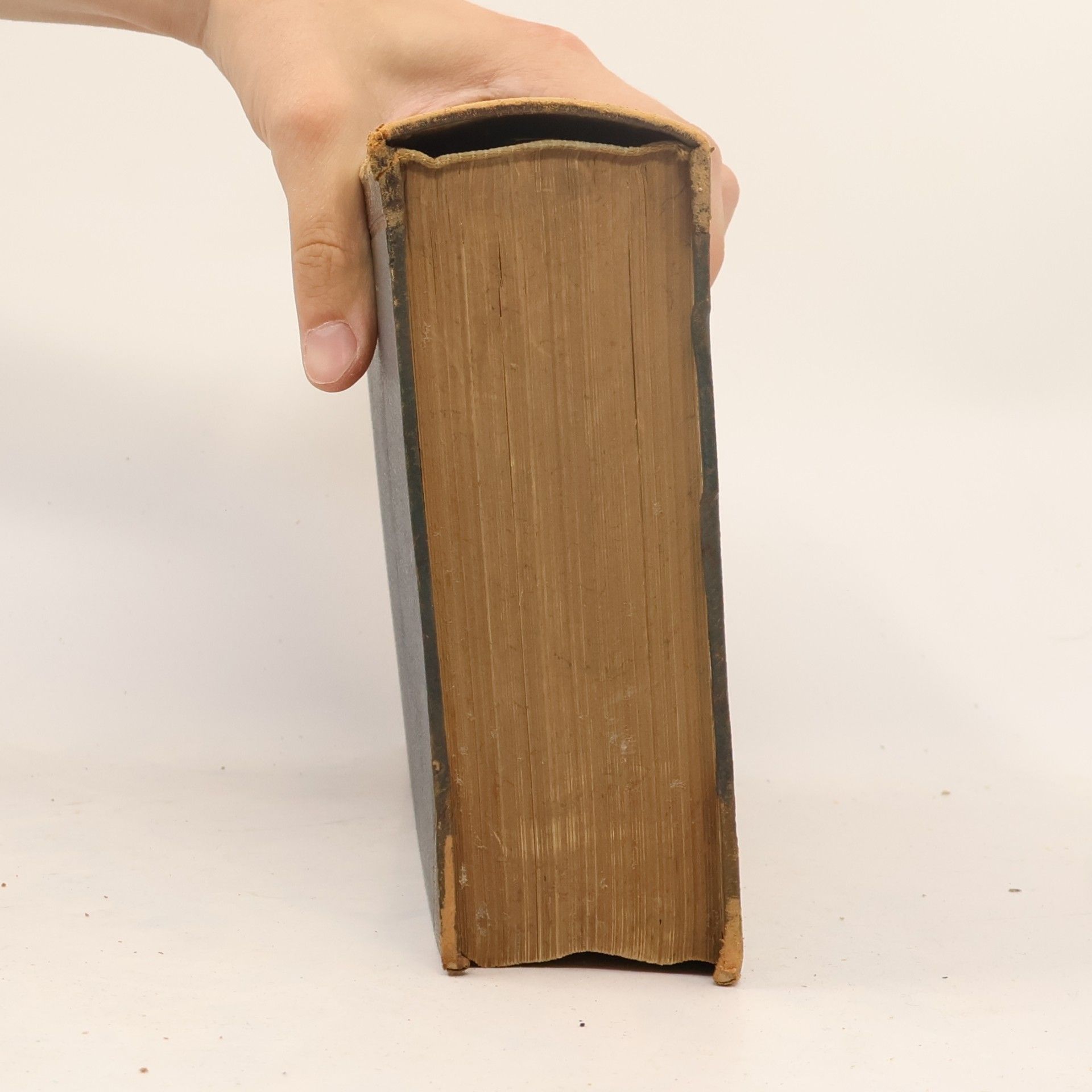 Various authors Brockhaus' Konversations-Lexikon 15