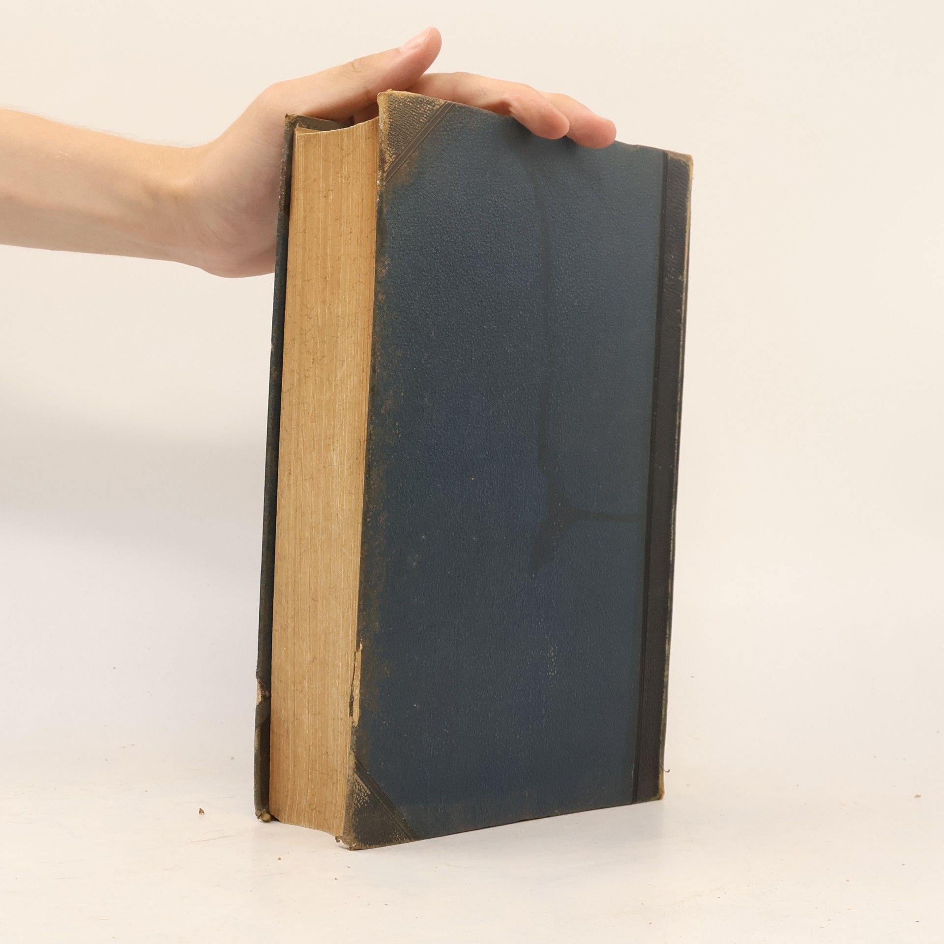 Various authors Brockhaus' Konversations-Lexikon 15
