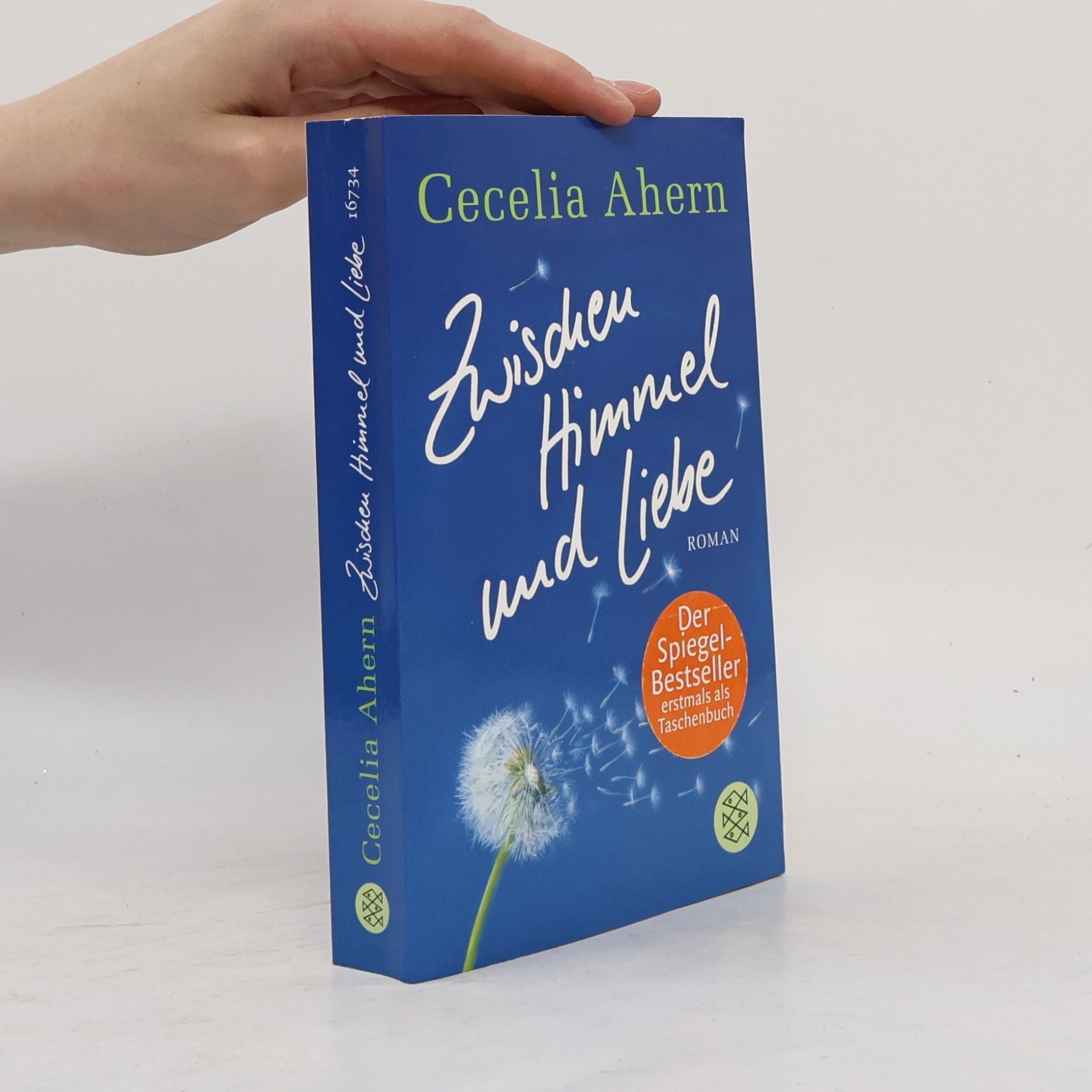 Cecelia Ahern Zwischen Himmel und Liebe