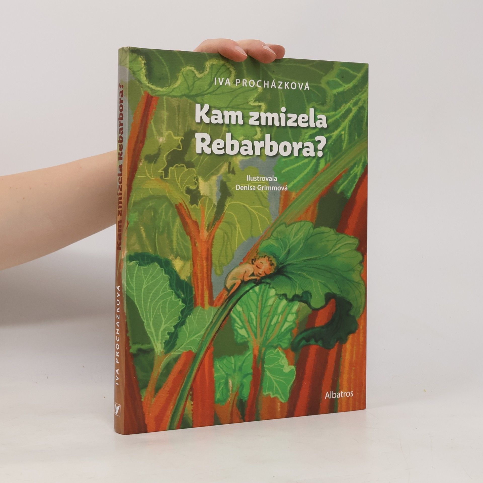 Kam zmizela Rebarbora?