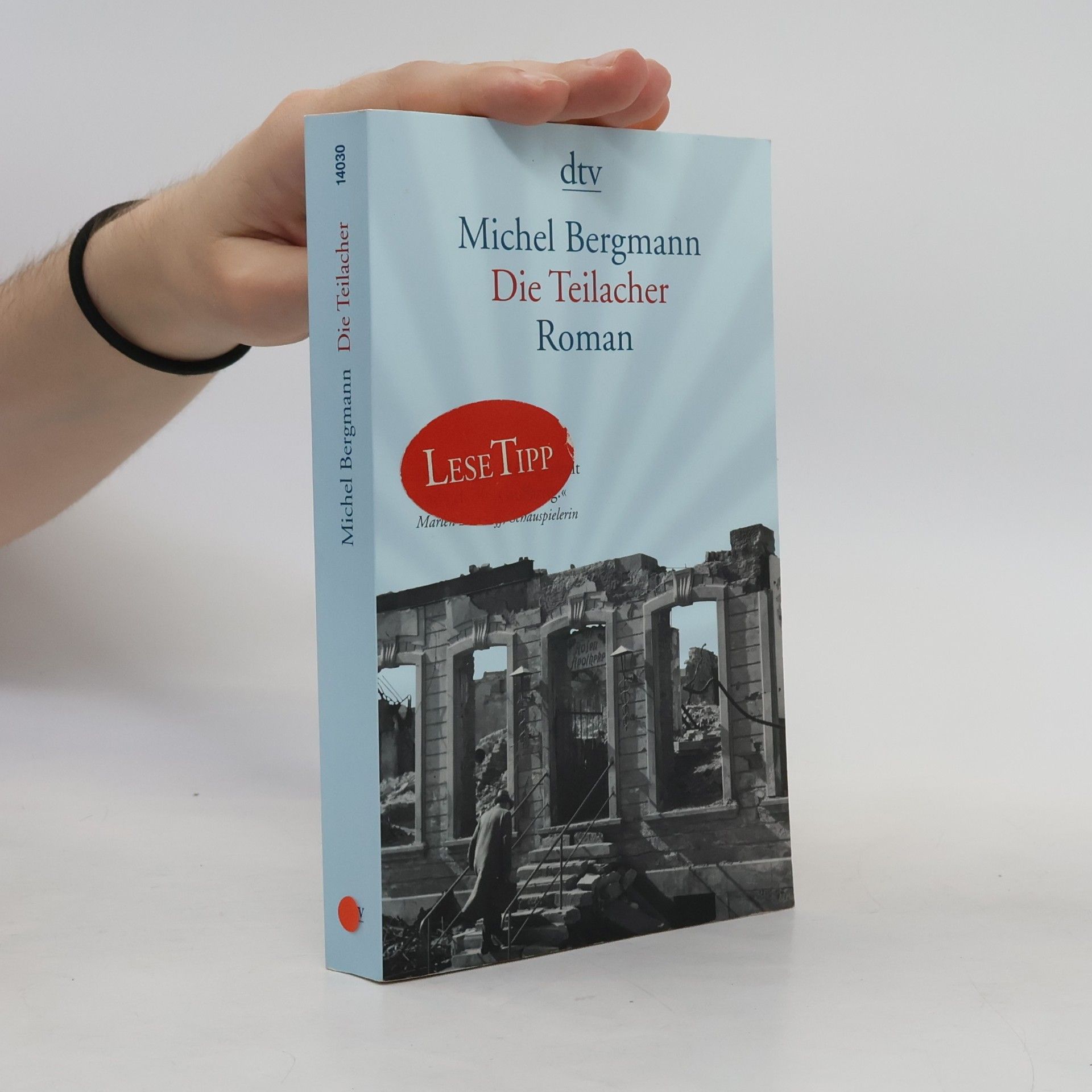 Michel Bergmann Die Teilacher