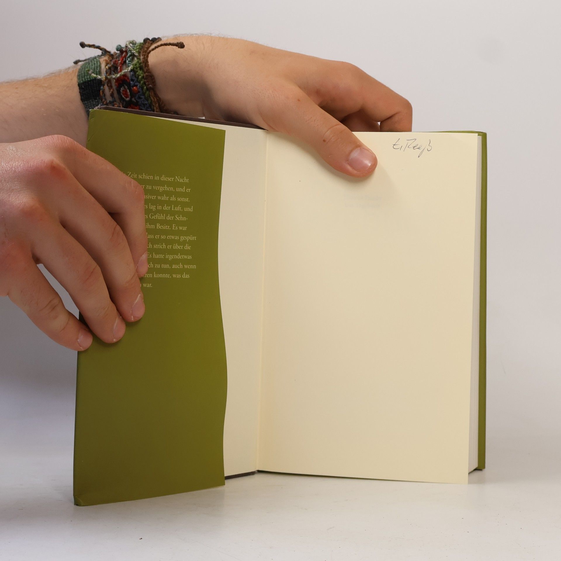 Thomas Franke Das Tagebuch