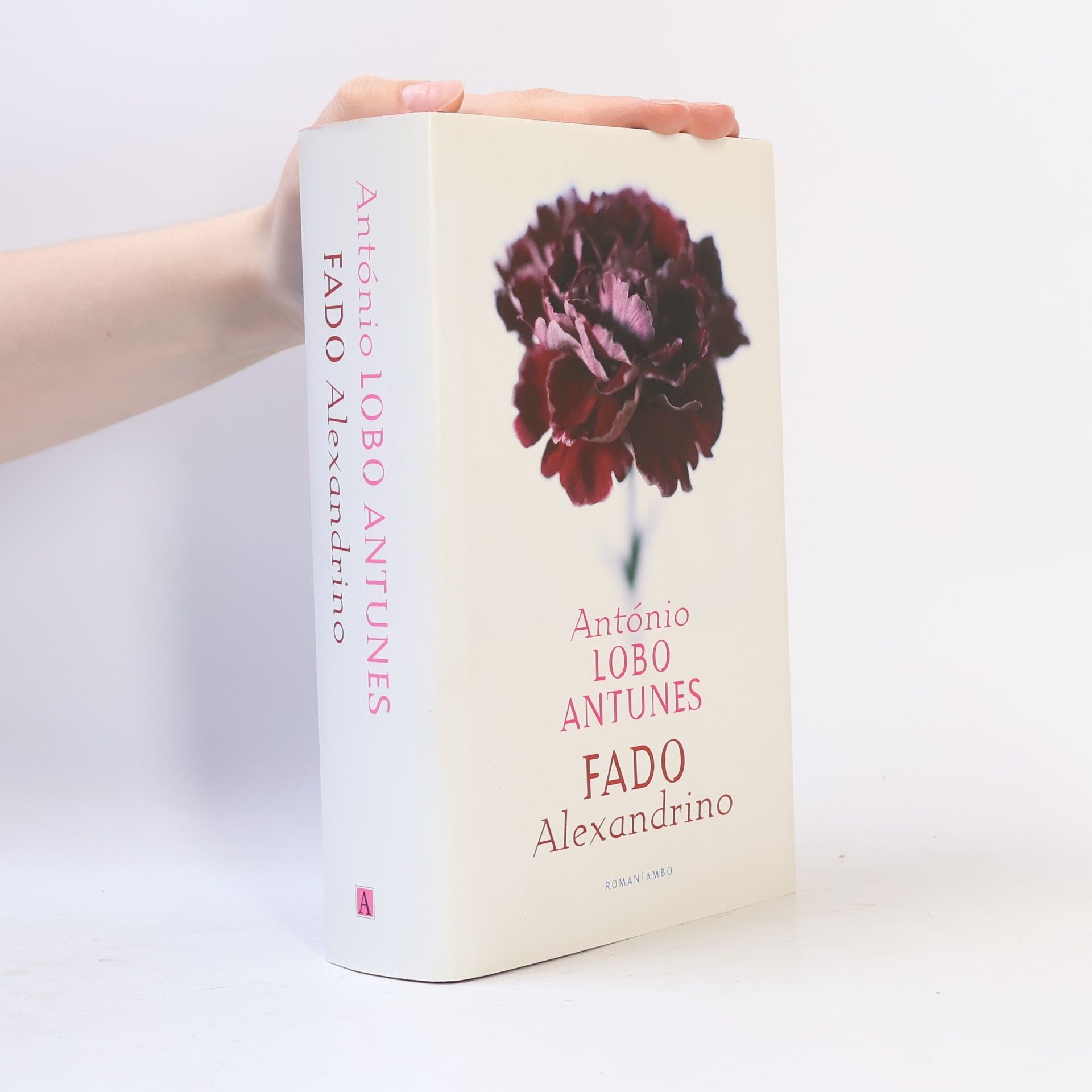 Harrie Lemmens Fado Alexandrino