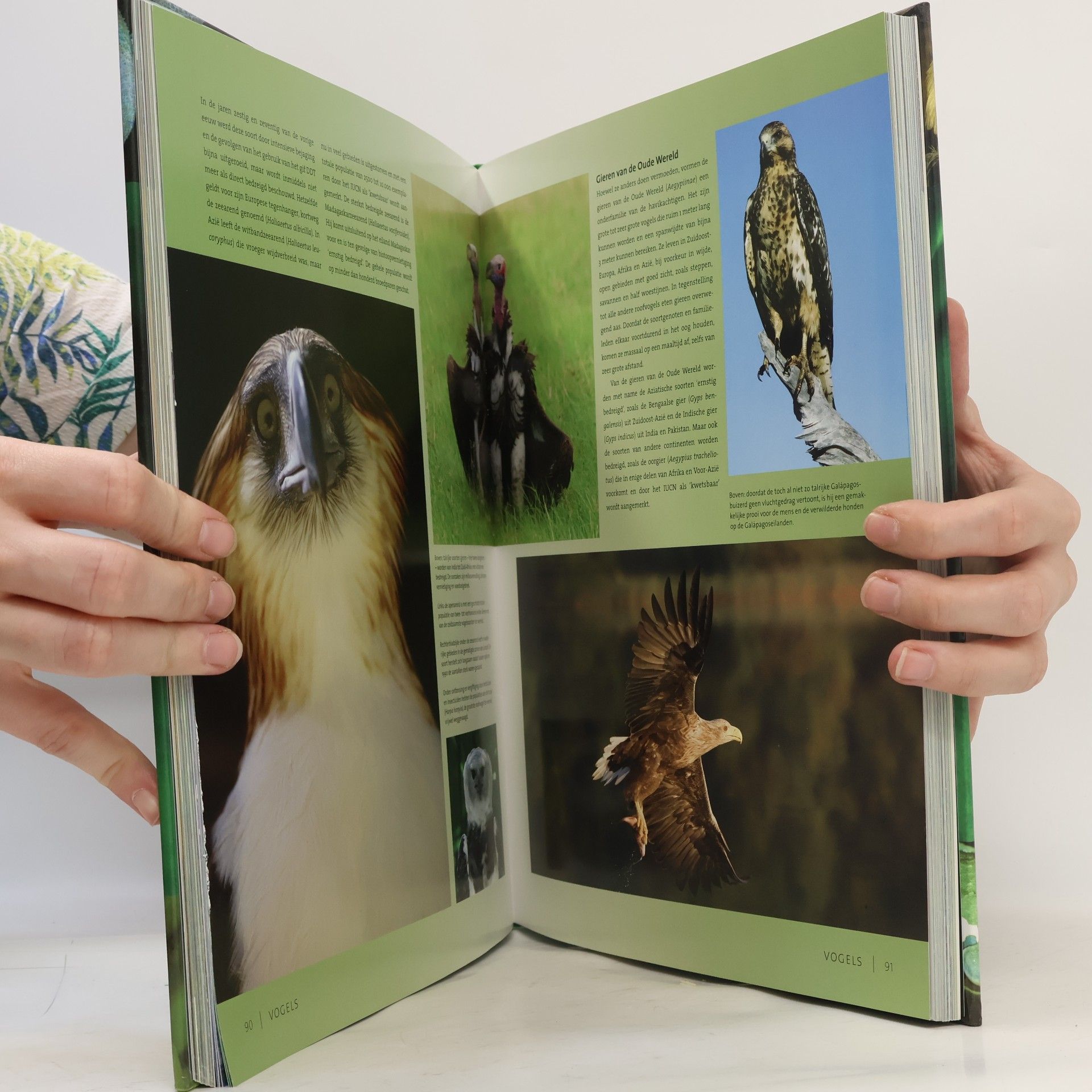 Willi Dolder Bedreigde dieren