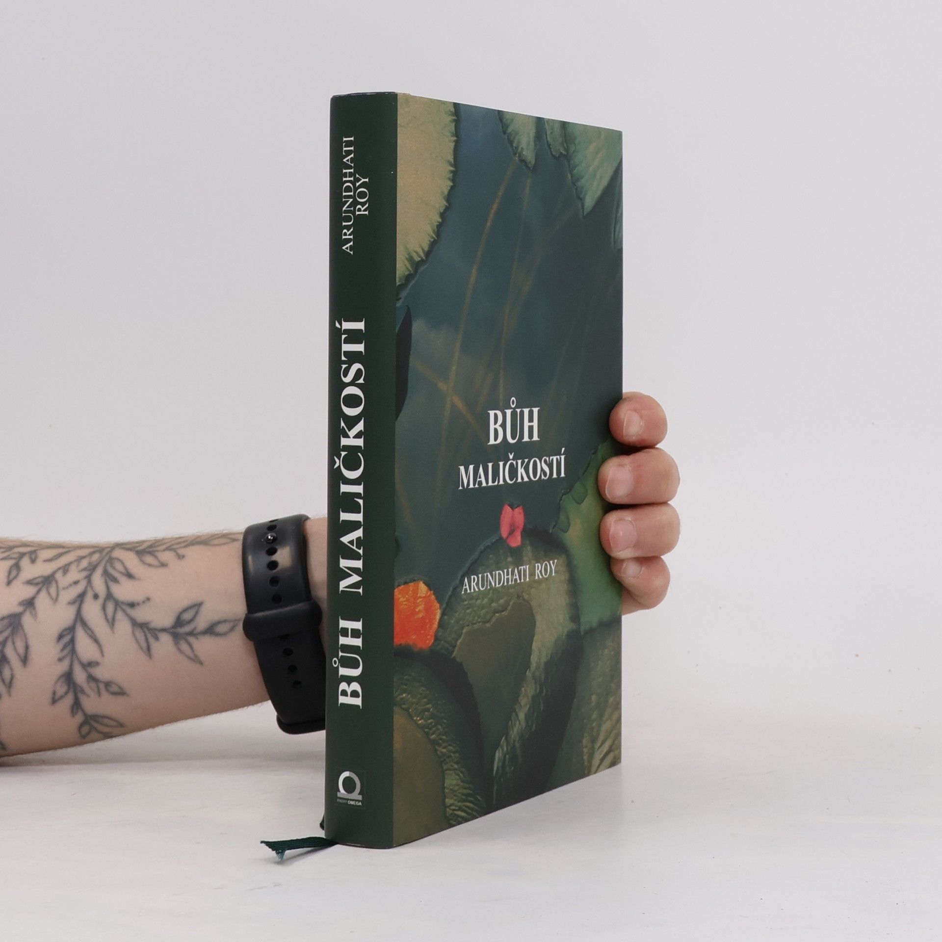 Arundhati Roy Bůh maličkostí