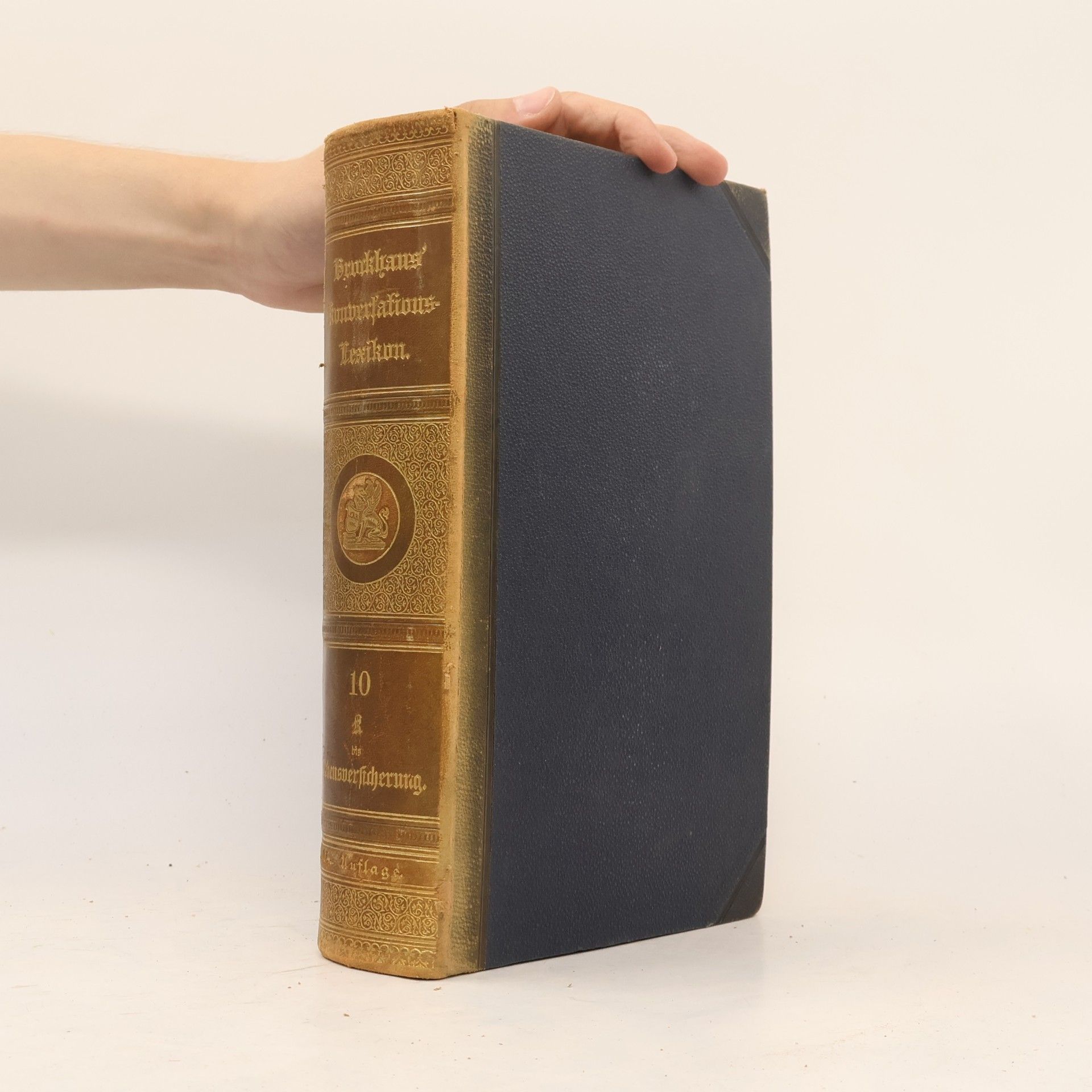 Autorenkollektiv Brockhaus' Konversations-Lexikon 10