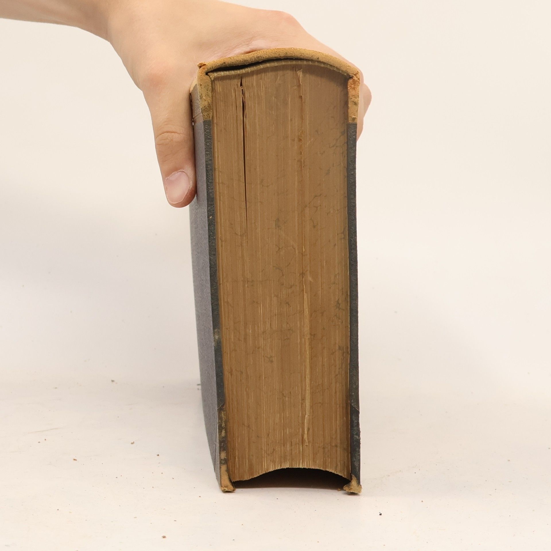 Autorenkollektiv Brockhaus' Konversations-Lexikon 10