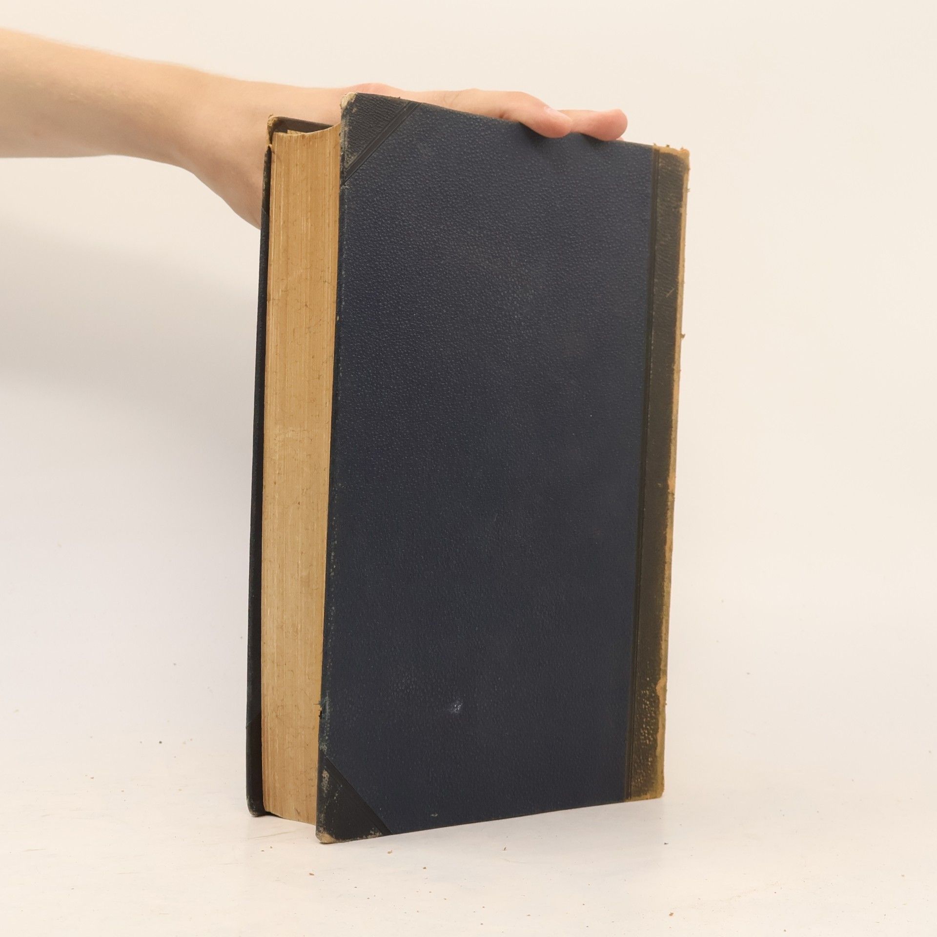 Autorenkollektiv Brockhaus' Konversations-Lexikon 10