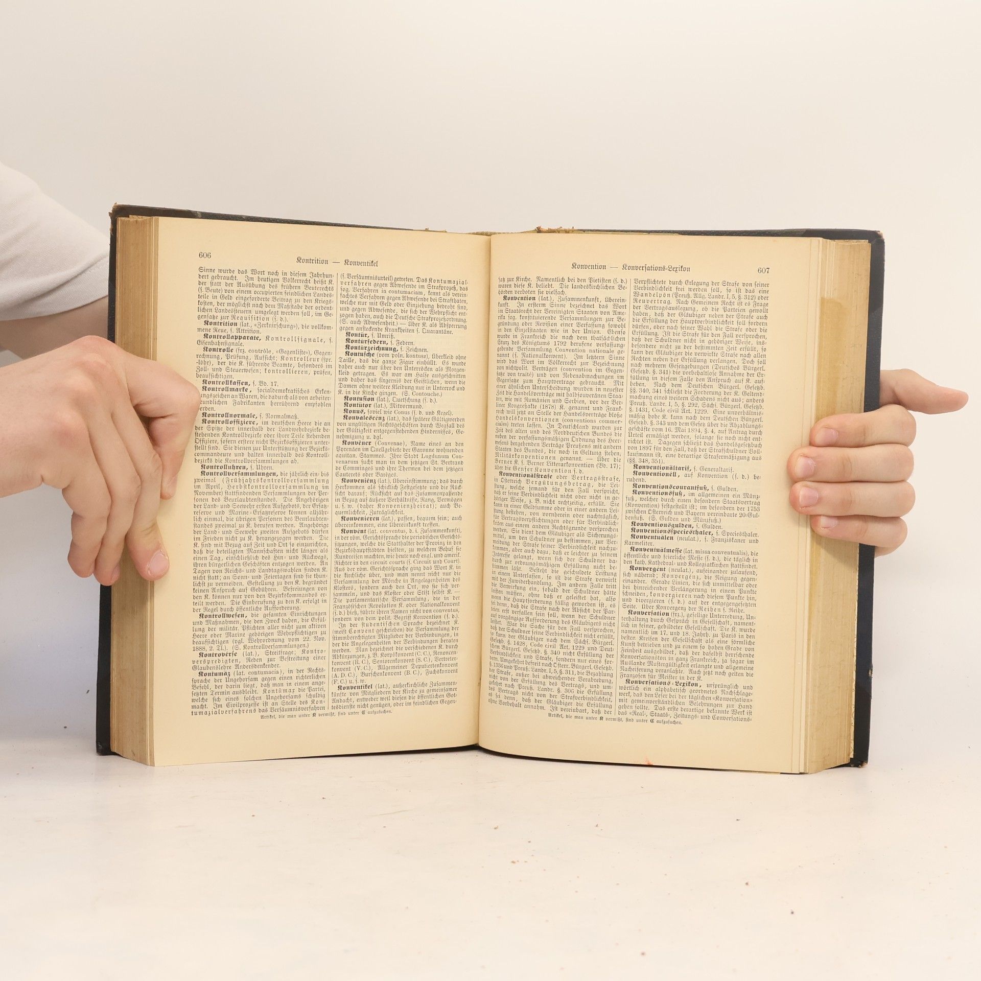 Autorenkollektiv Brockhaus' Konversations-Lexikon 10