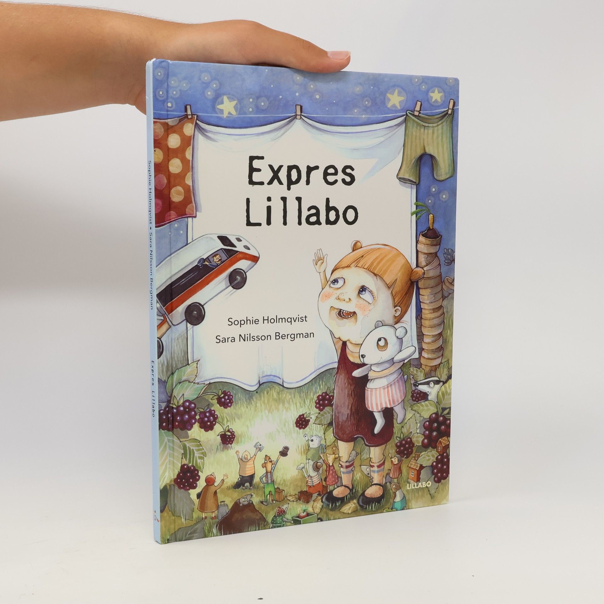 Sara Nilsson Bergman Expres Lillabo