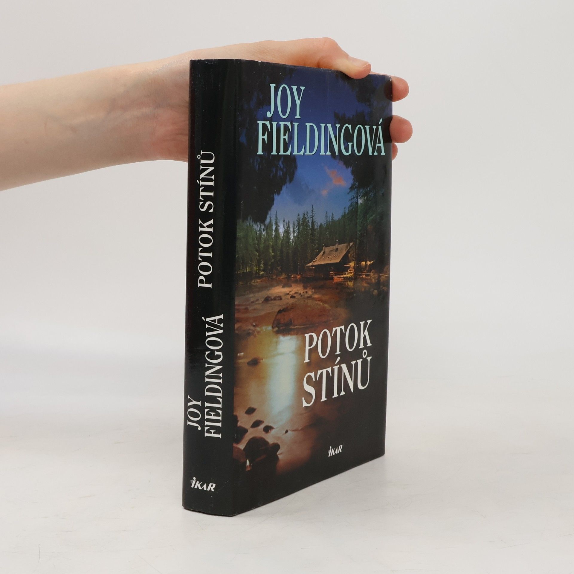 Joy Fielding Potok stínů