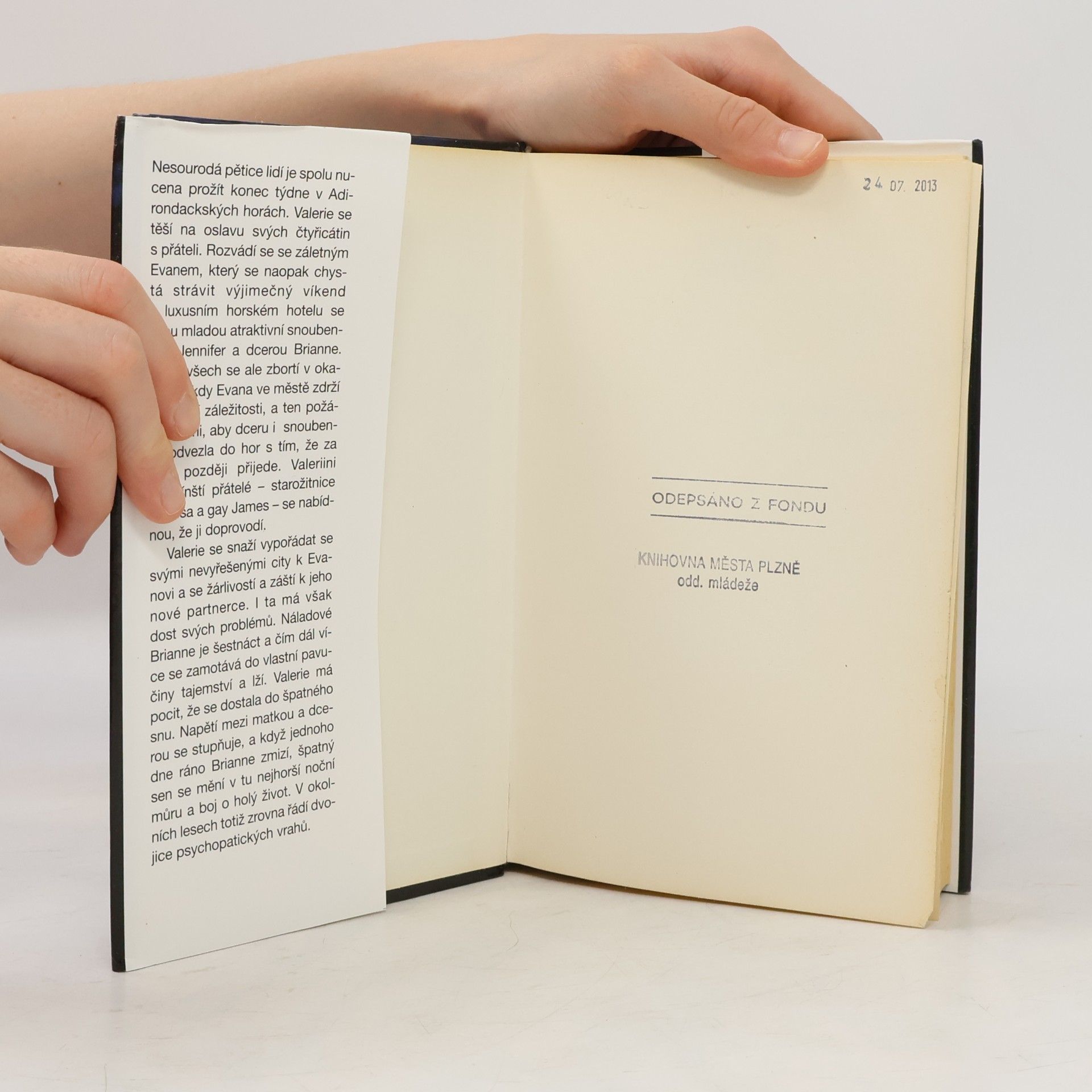 Joy Fielding Potok stínů