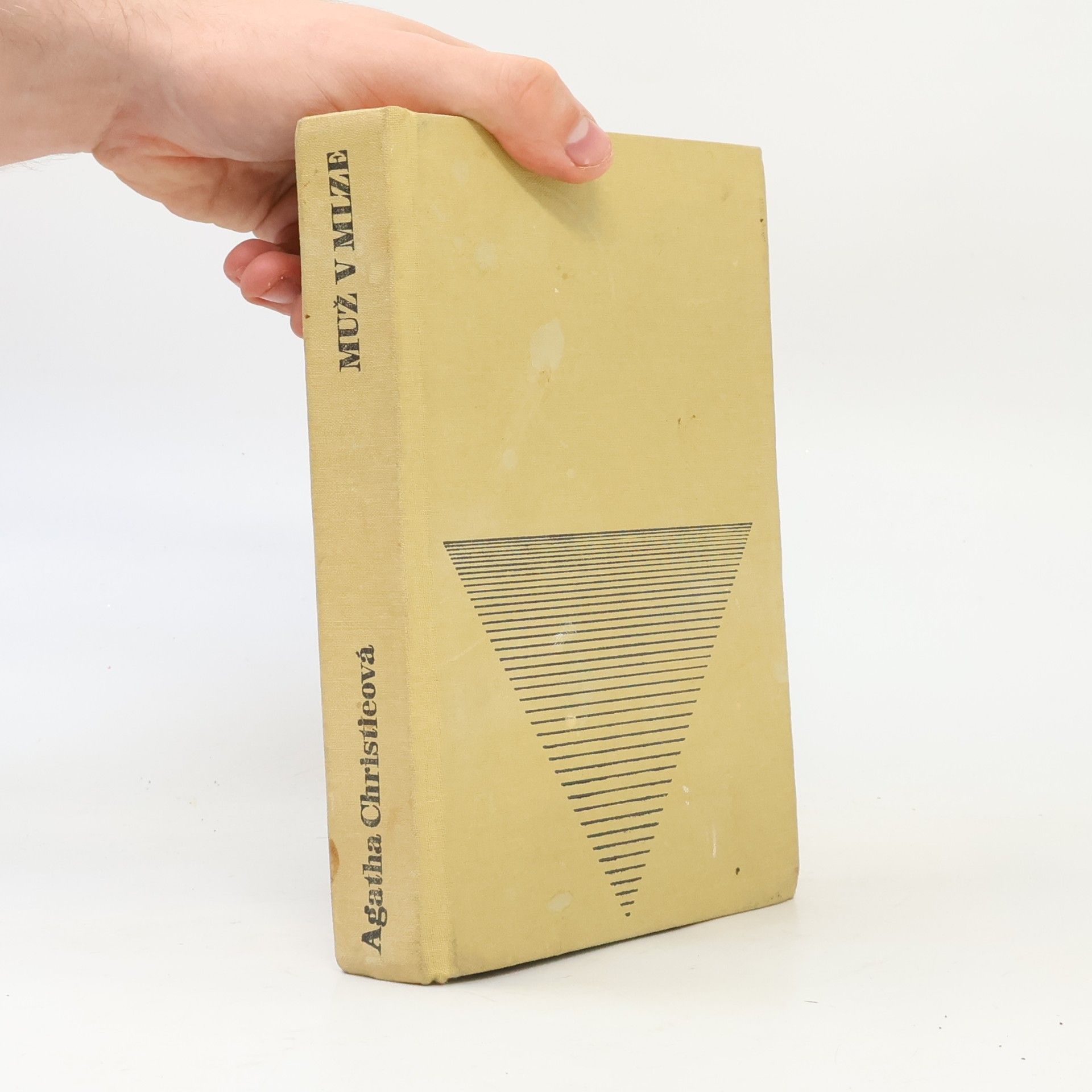 Agatha Christie Muž v mlze