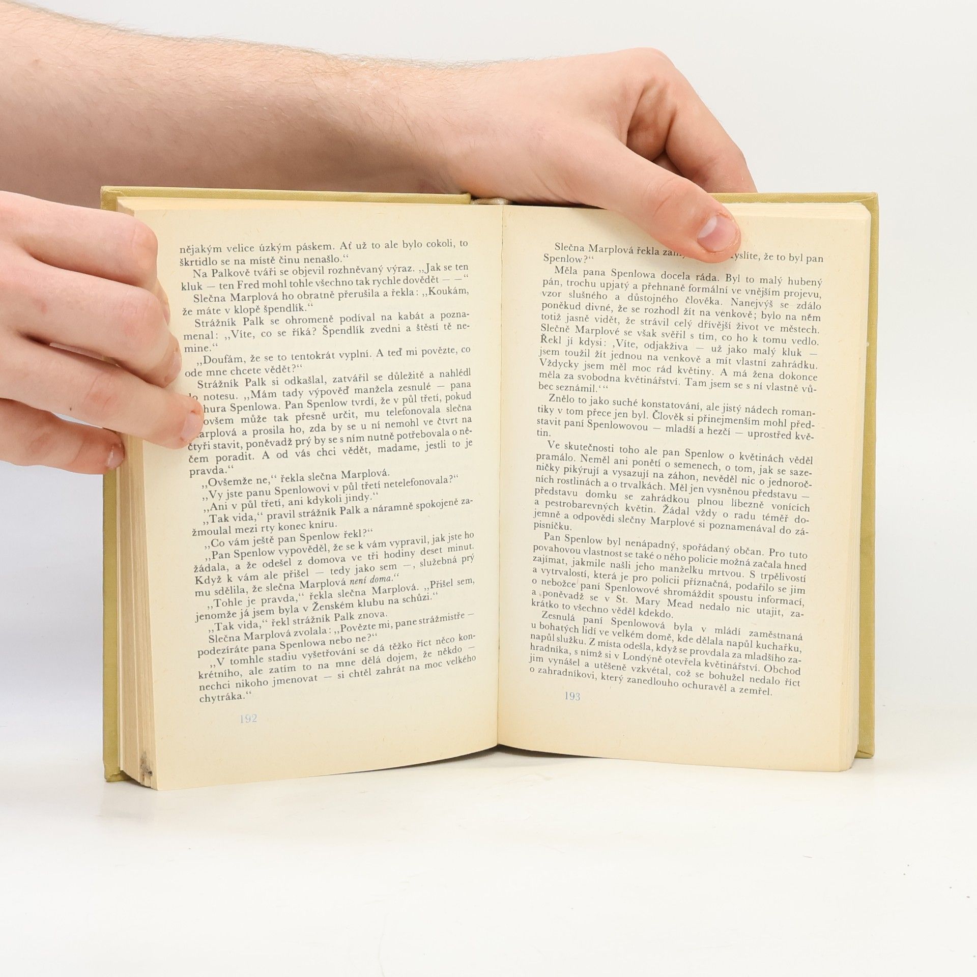 Agatha Christie Muž v mlze