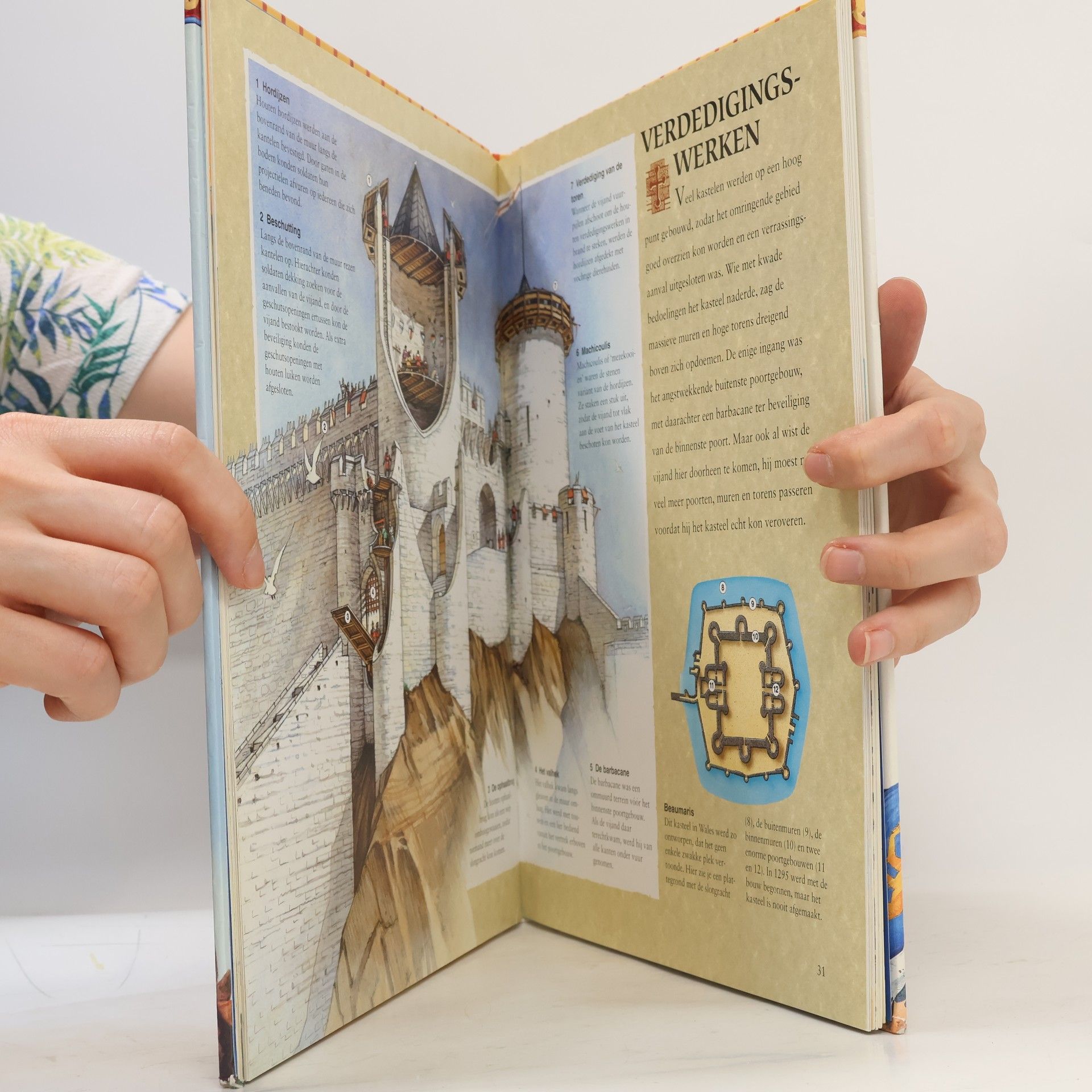Philip Steele Het beste boek over ridders & kastelen