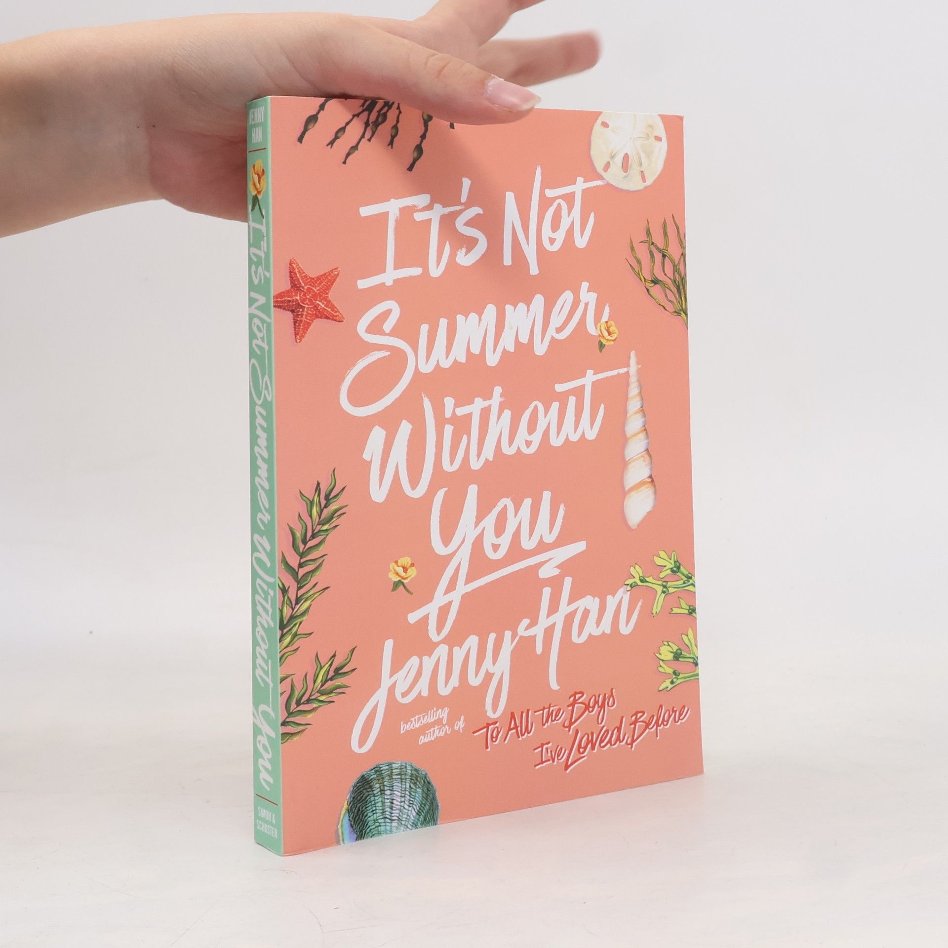 Jenny Han It's Not Summer Without You