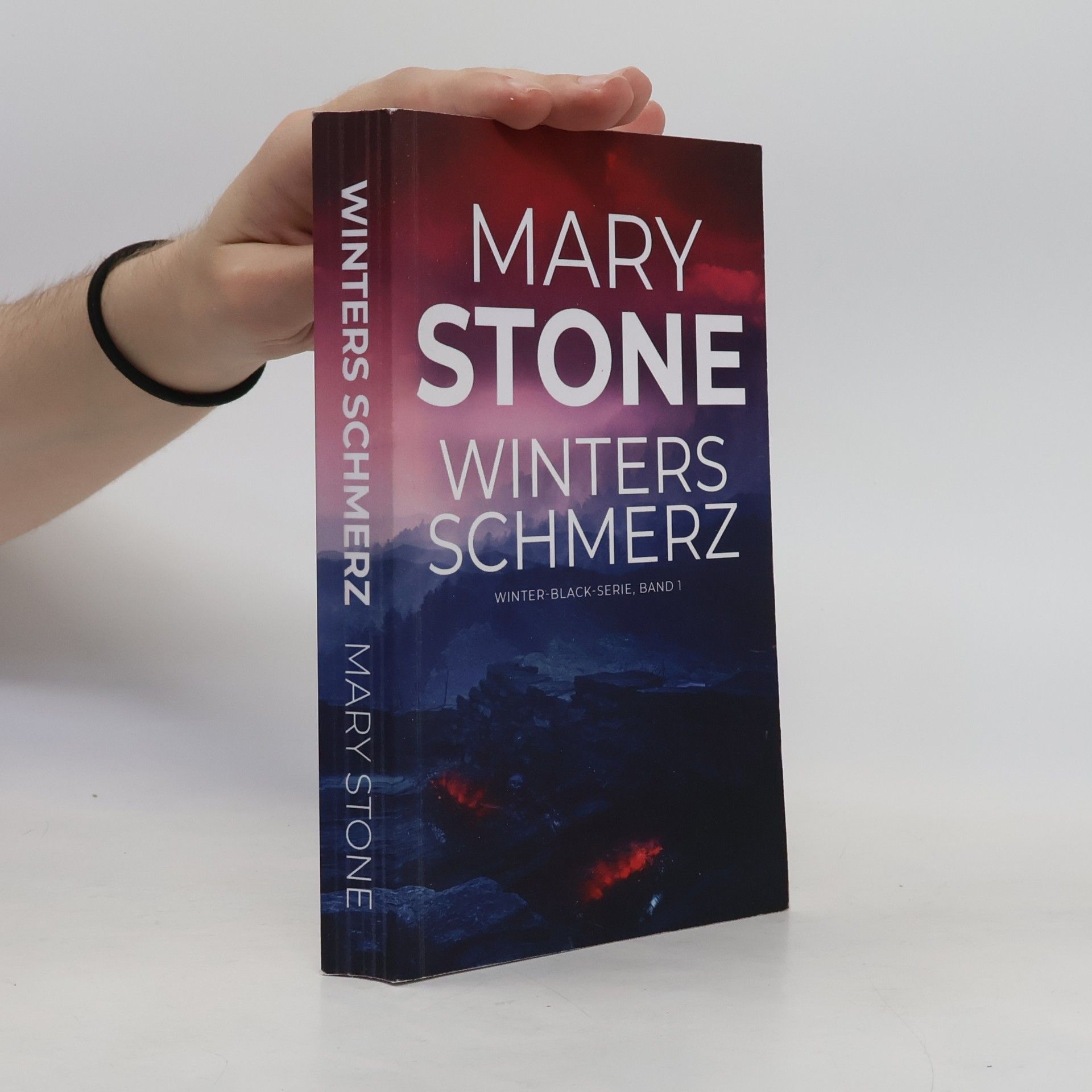 Mary Stone Winter-Black-Serie - 1: Winters Schmerz