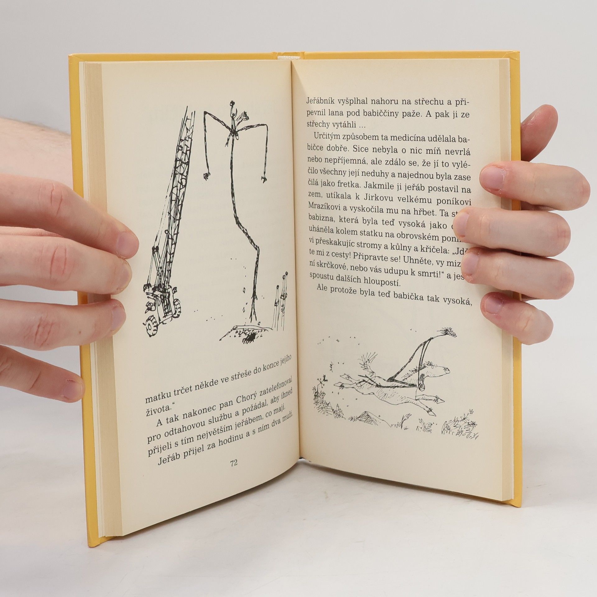 Roald Dahl Jirkova zázračná medicína