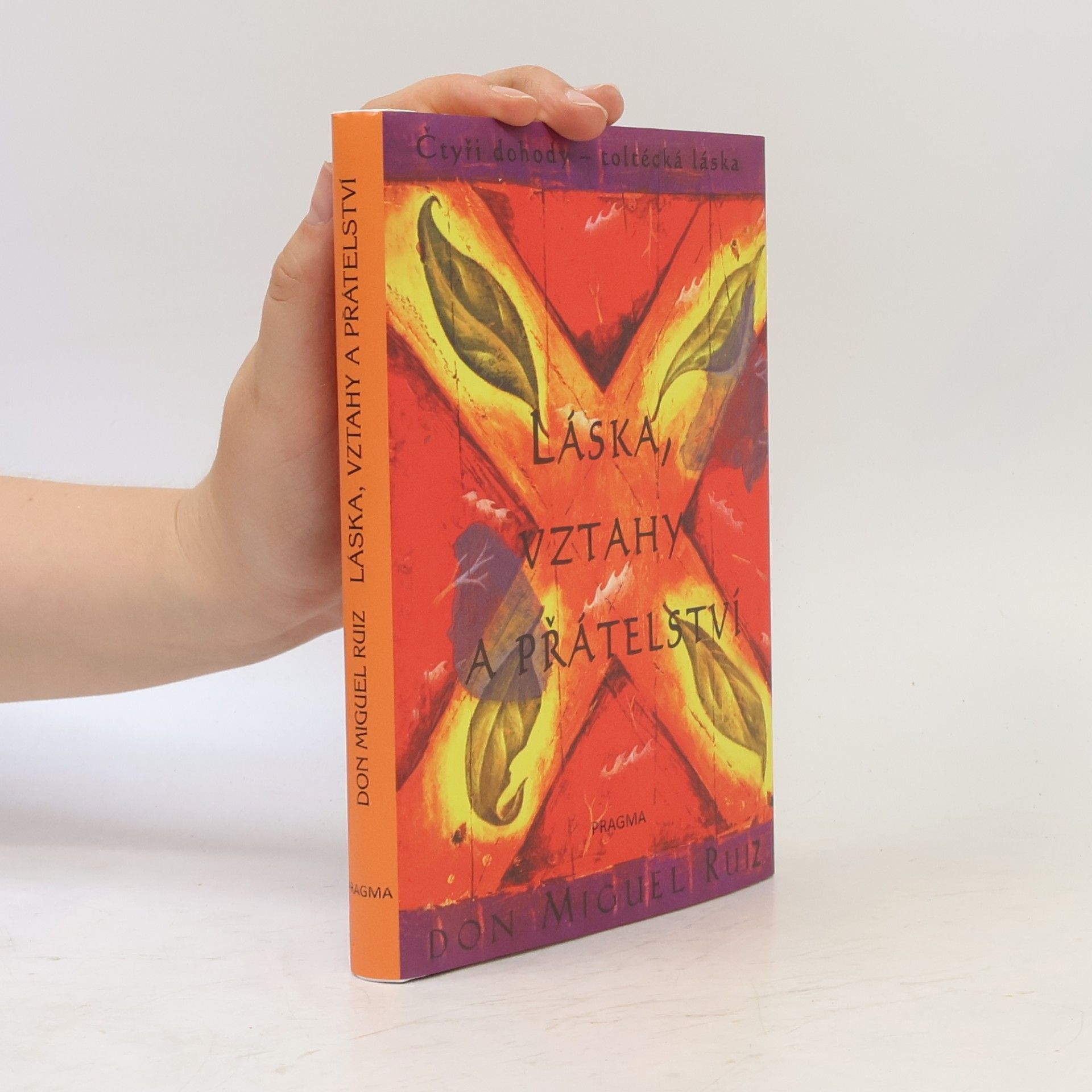 Don Miguel Ruiz Láska, vztahy a přátelství