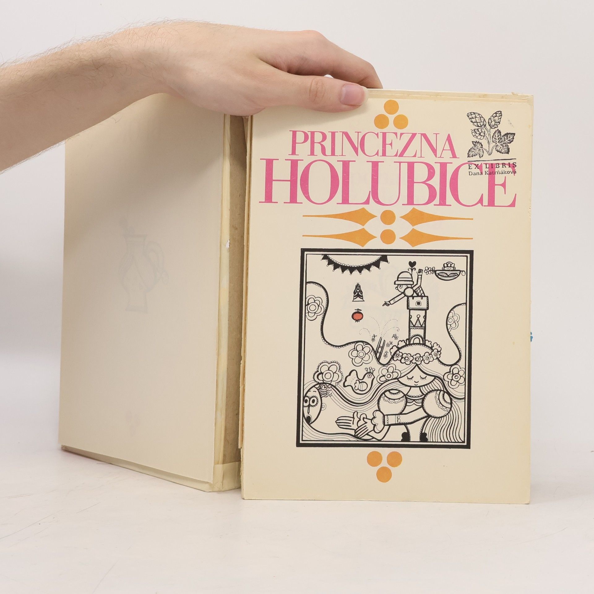 Radek Pilař Princezna holubice
