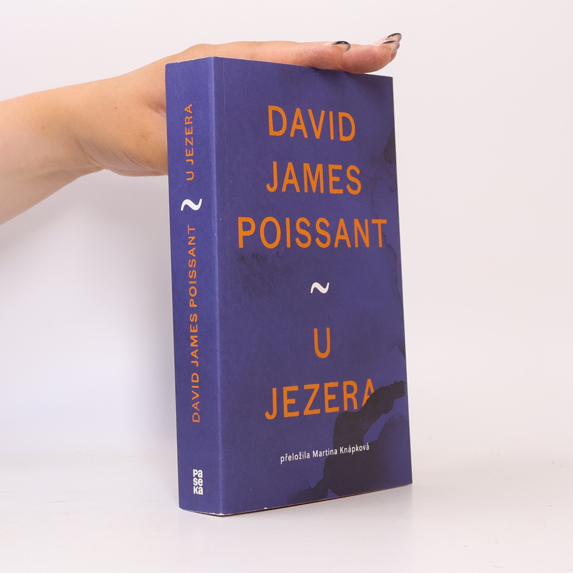 David James Poissant U jezera