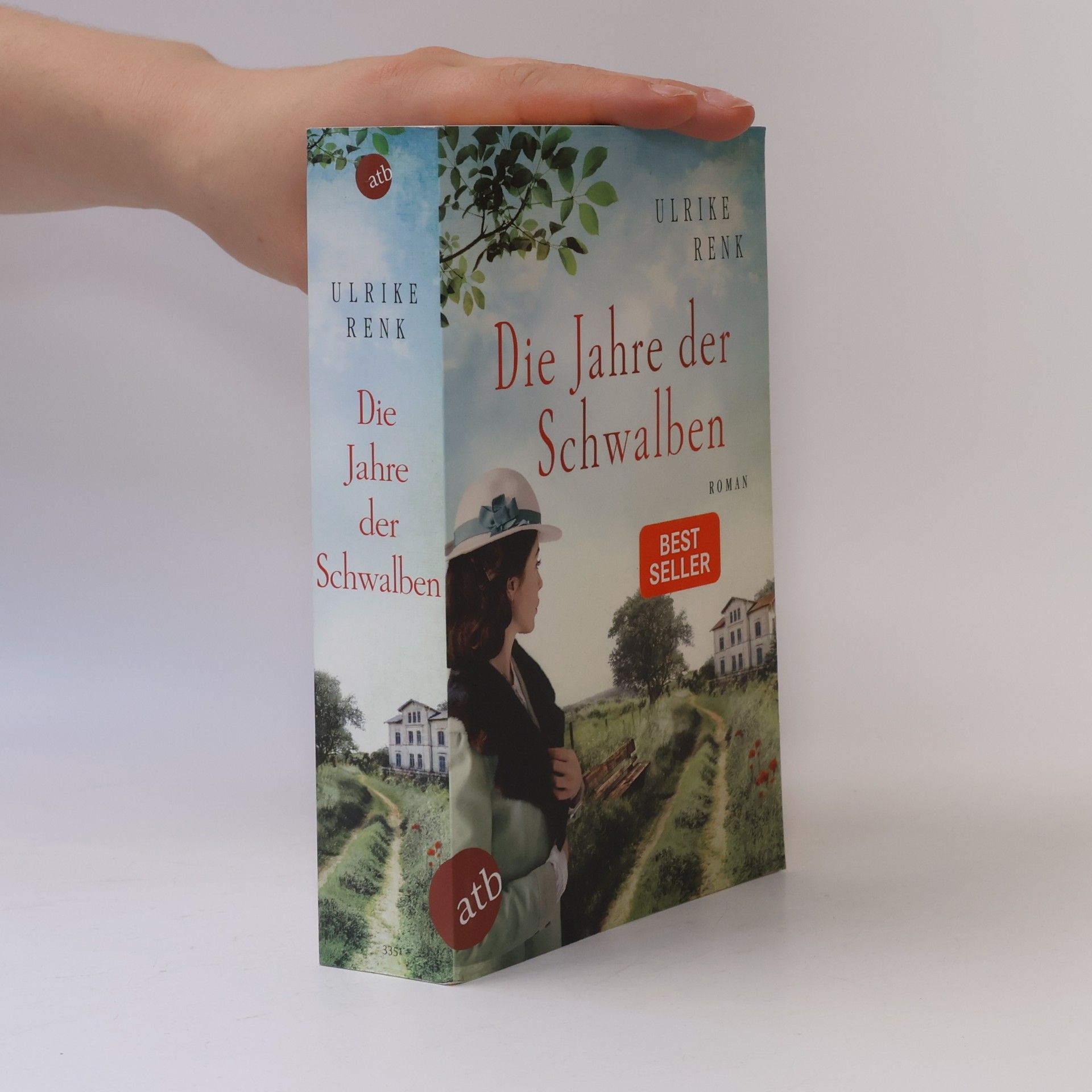 Ulrike Renk Die Jahre der Schwalben