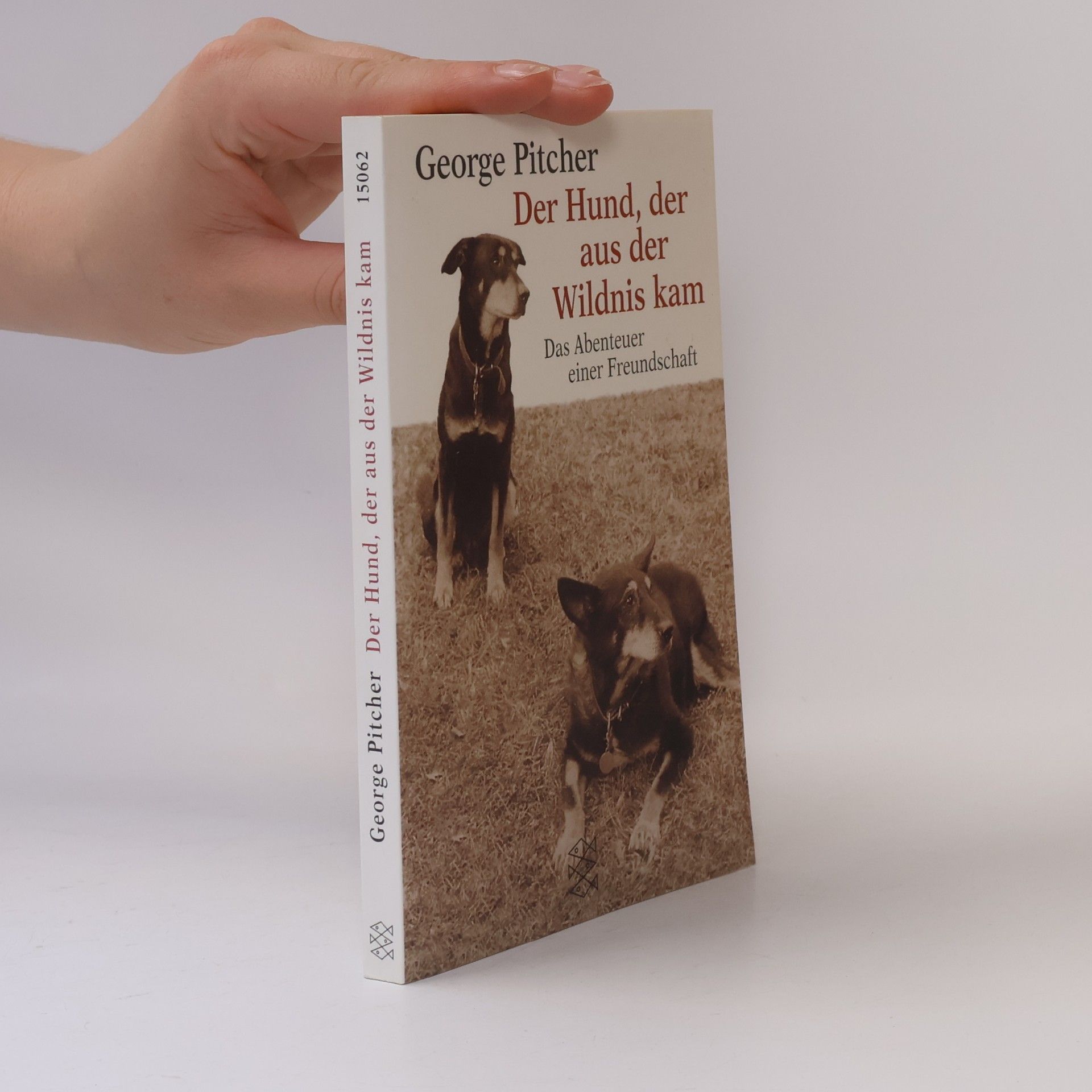 George Pitcher Der Hund, der aus der Wildnis kam