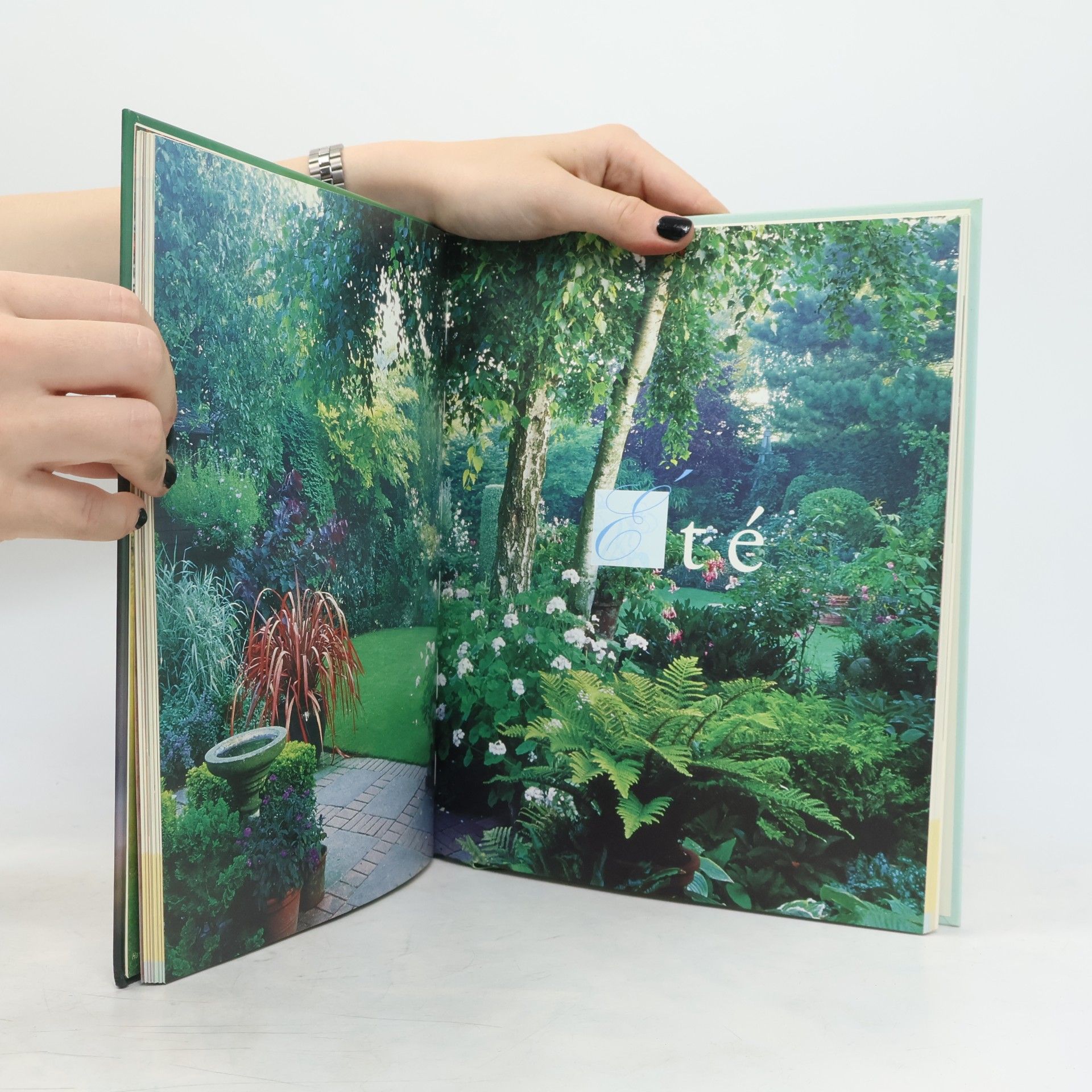 Inès de Briey Une année au jardin en Belgique. Almanach perpétuel