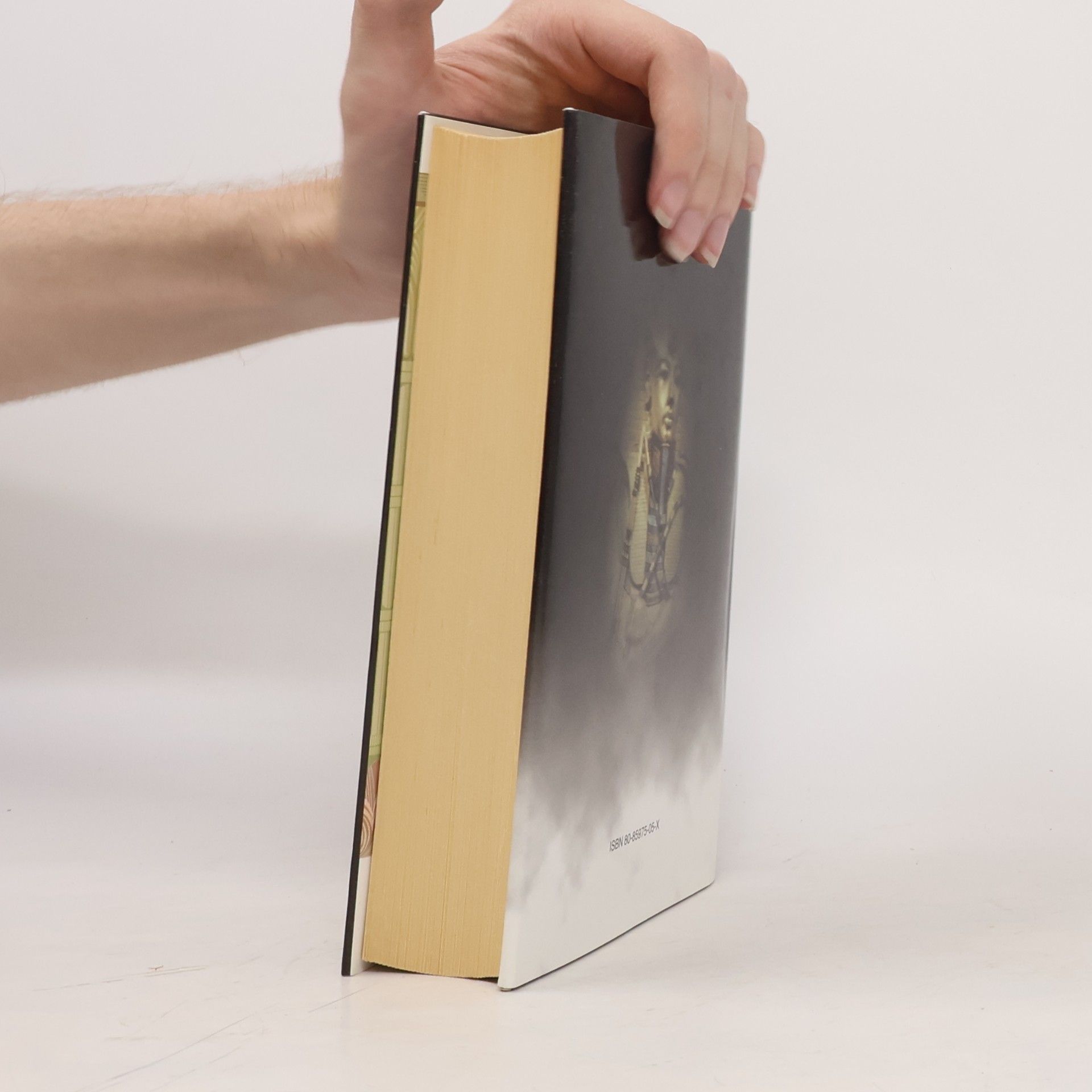 Wilbur Smith Řeka bohů II