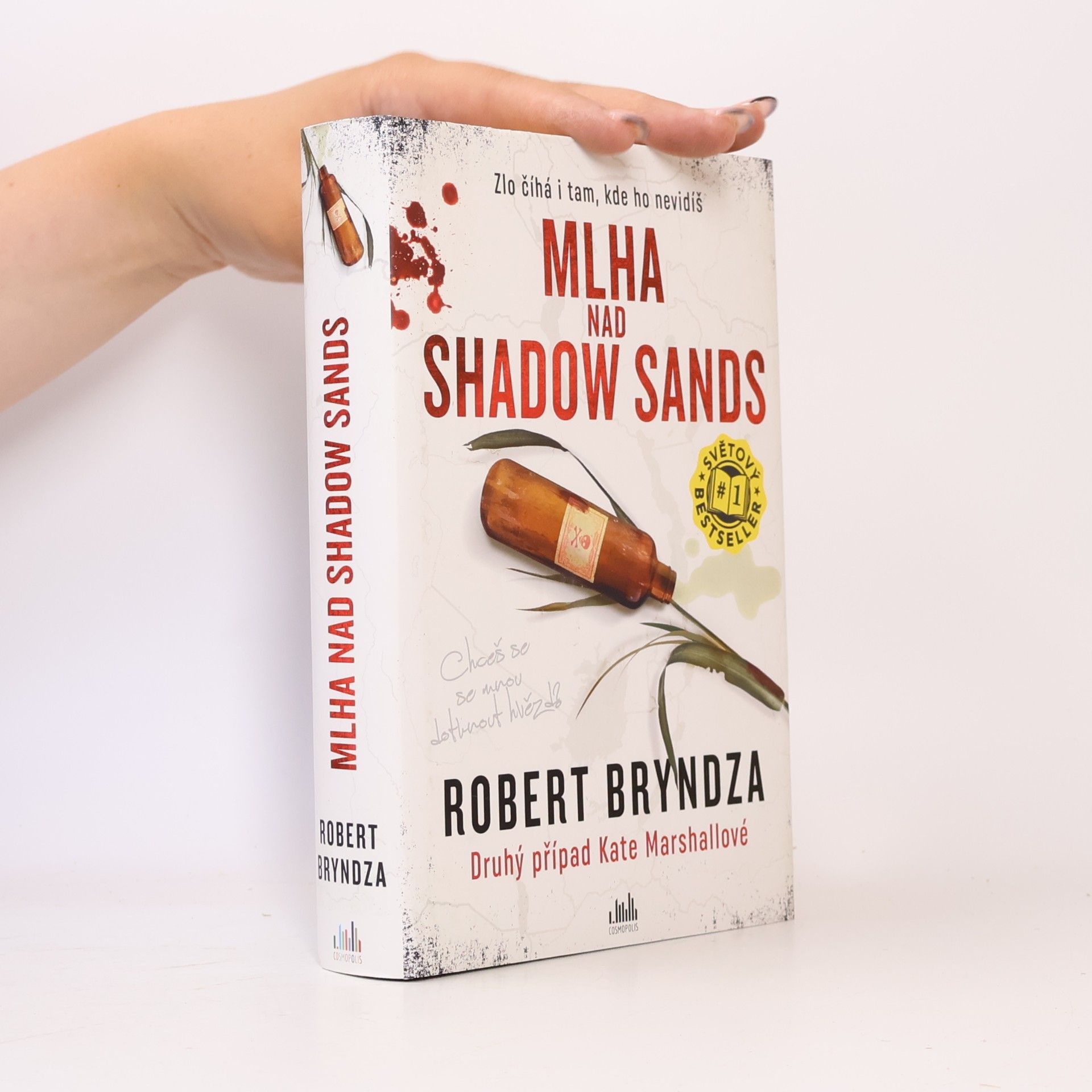 Robert Bryndza Mlha nad Shadow Sands