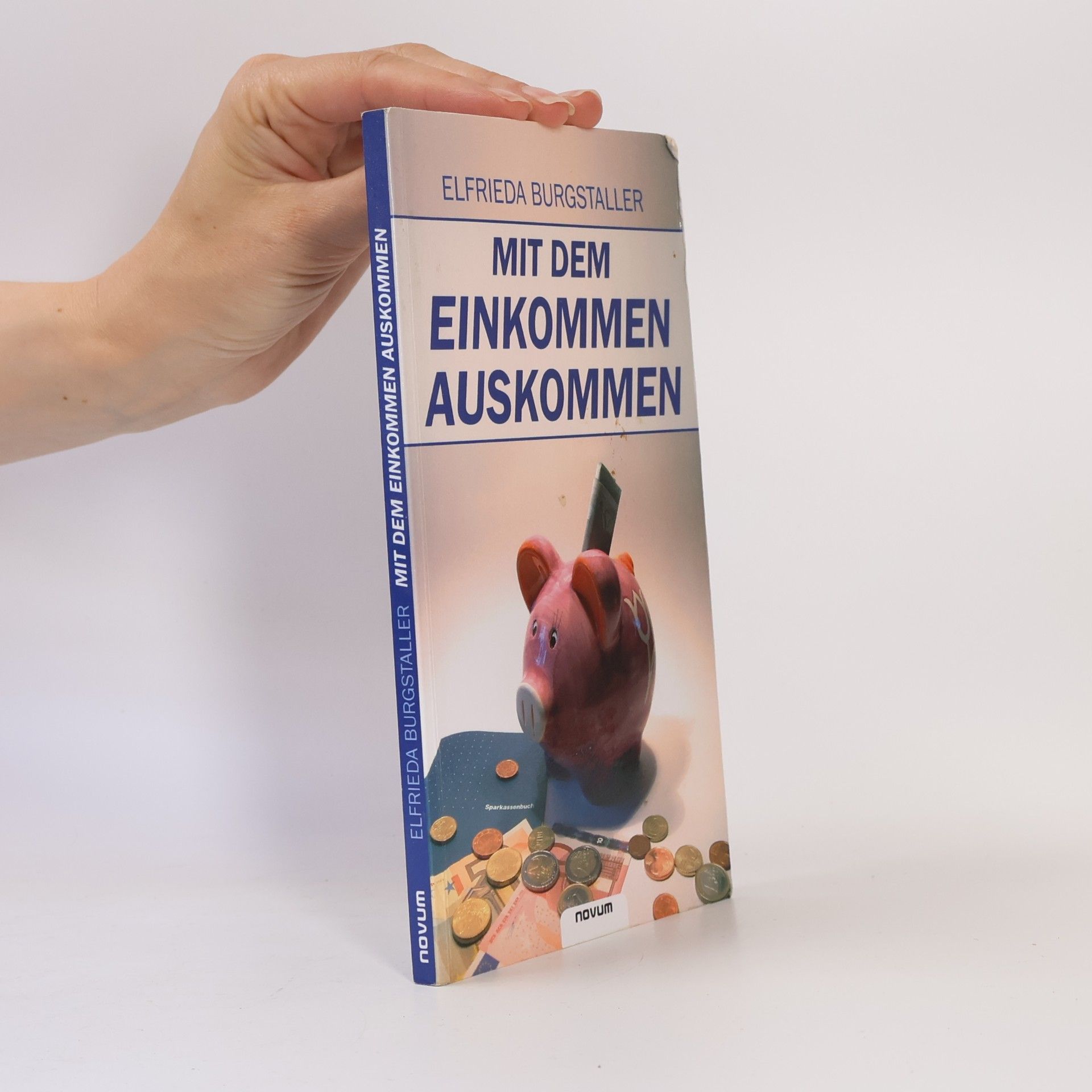 Elfrieda Burgstaller Mit dem Einkommen auskommen