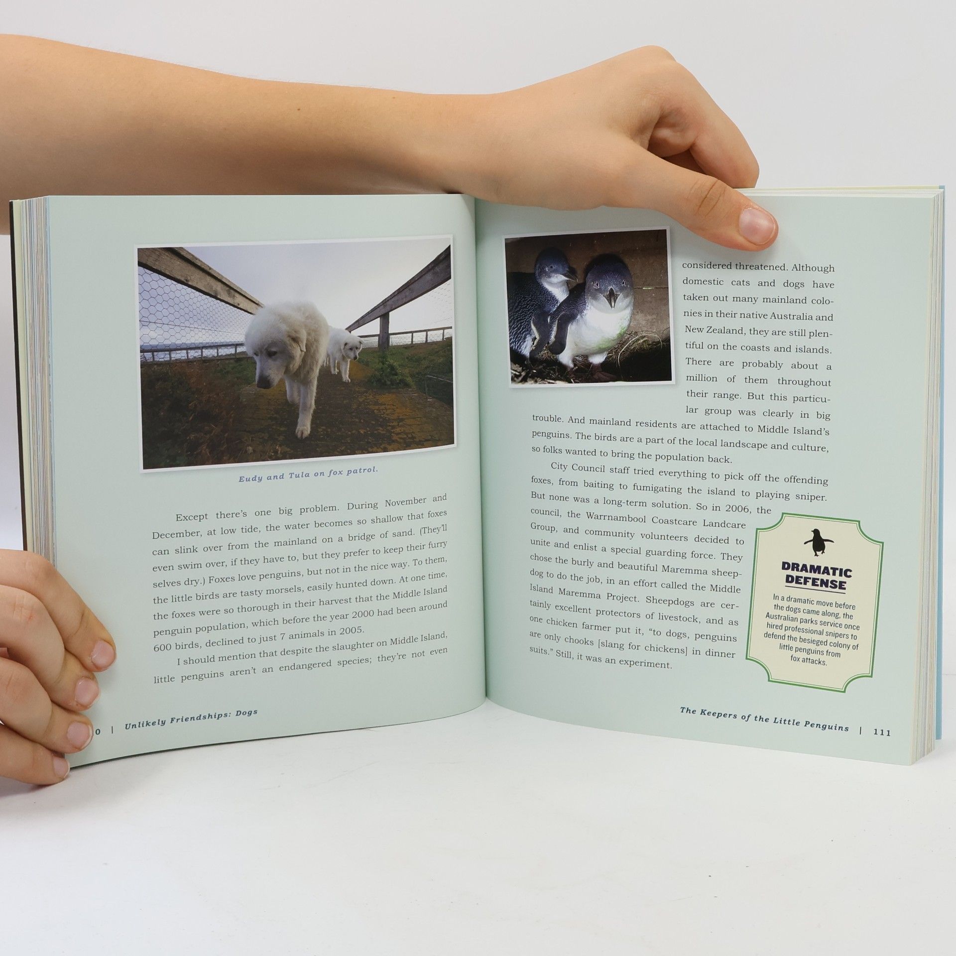 Jennifer Holland Unlikely Friendships, Dogs: 37 Stories of Canine Companionship and Courage
