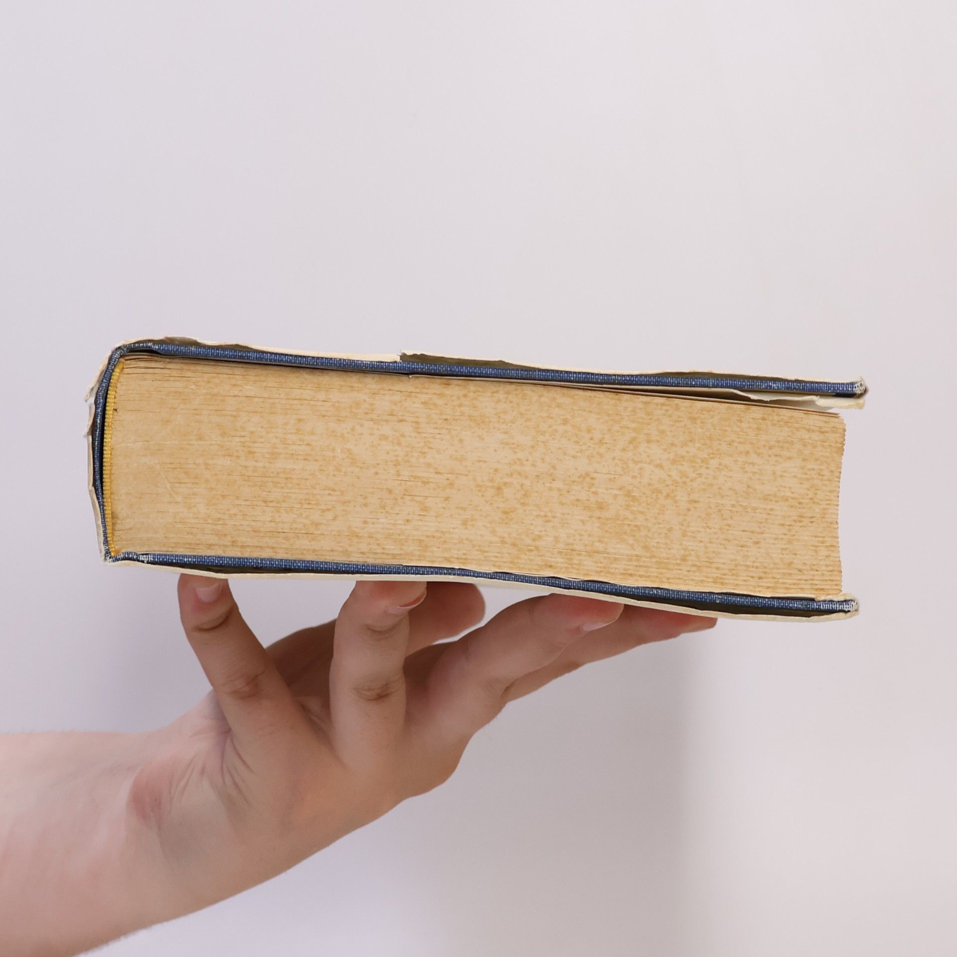 Ernst Robert Curtius Europäische Literatur und lateinisches Mittelalter