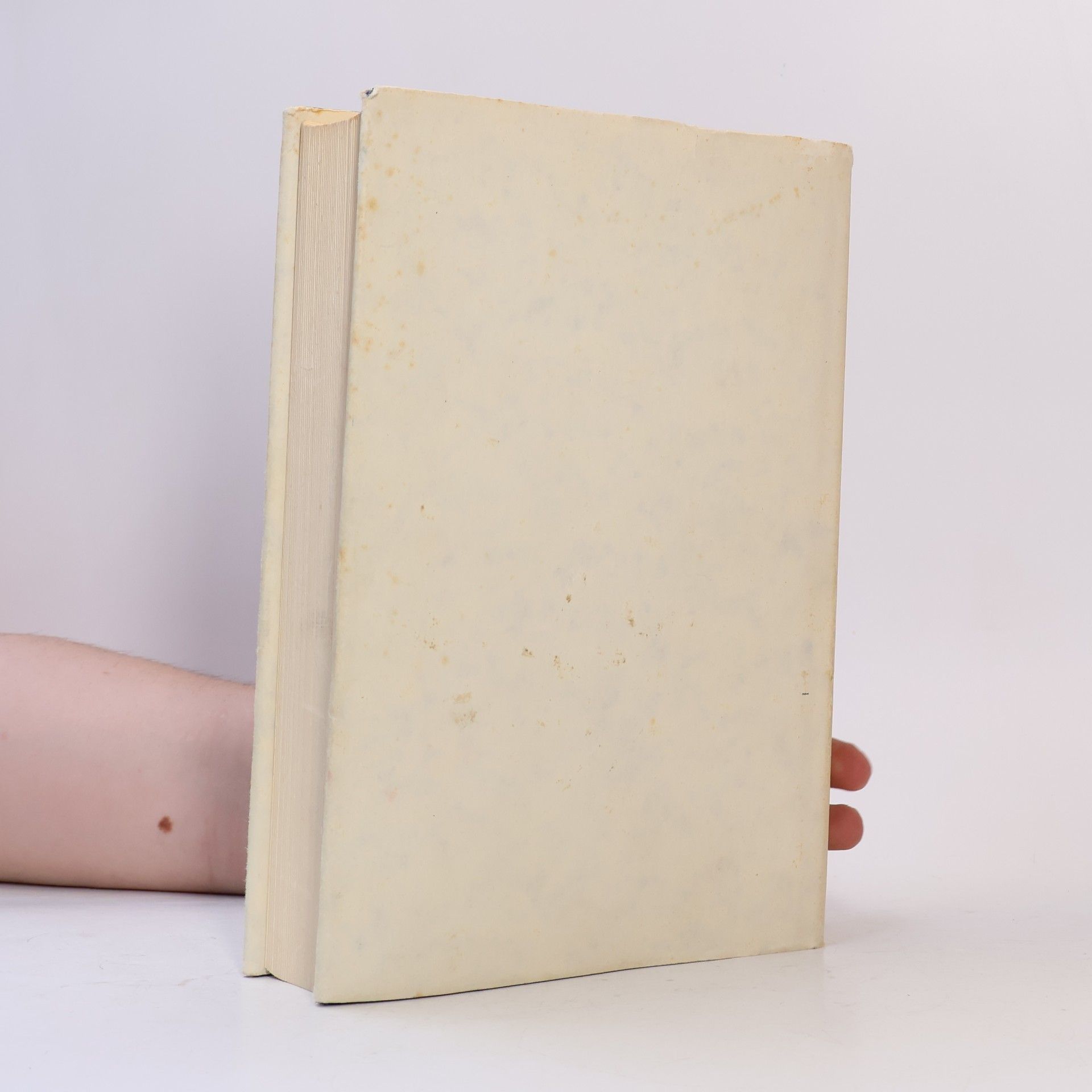 Ernst Robert Curtius Europäische Literatur und lateinisches Mittelalter