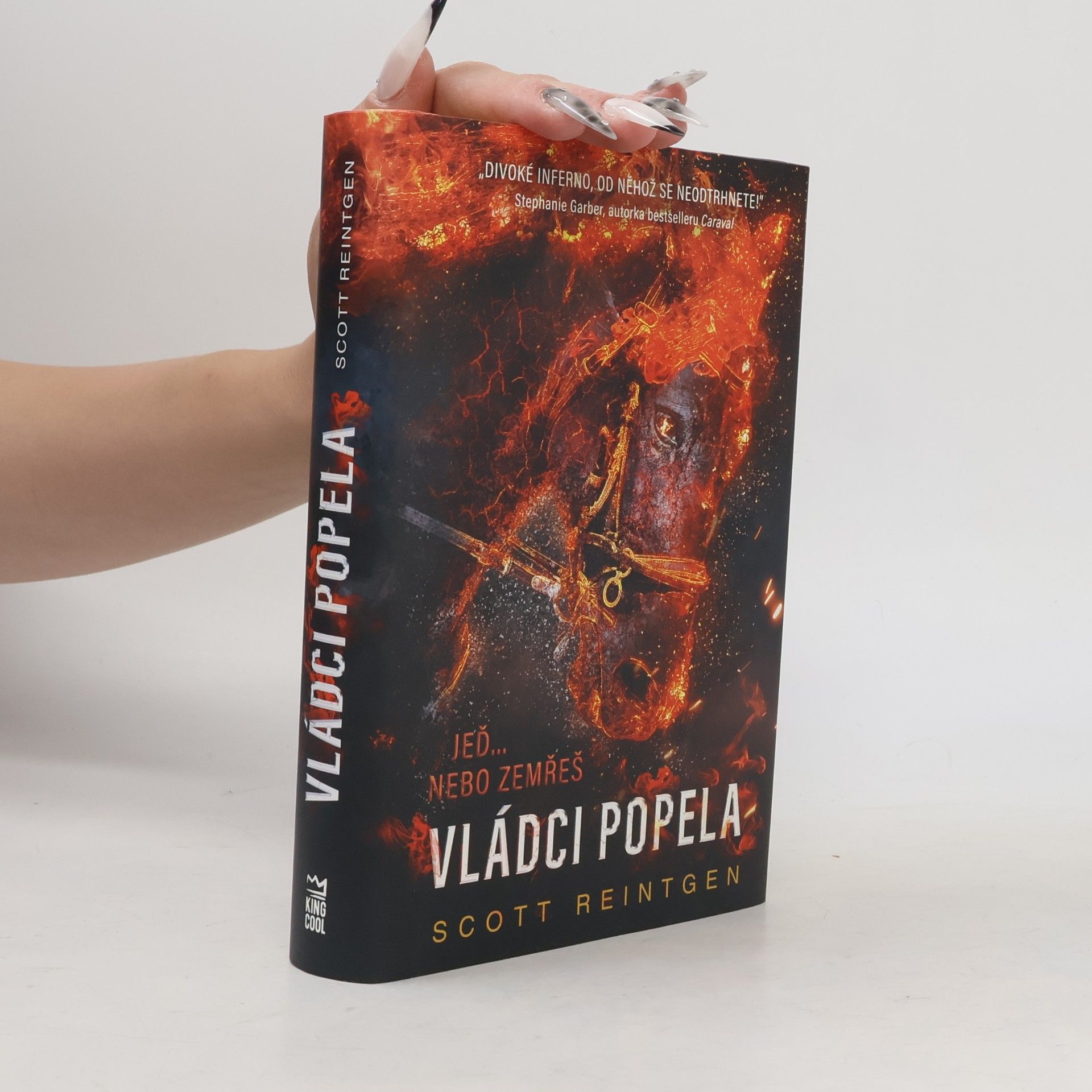 Scott Reintgen Vládci popela
