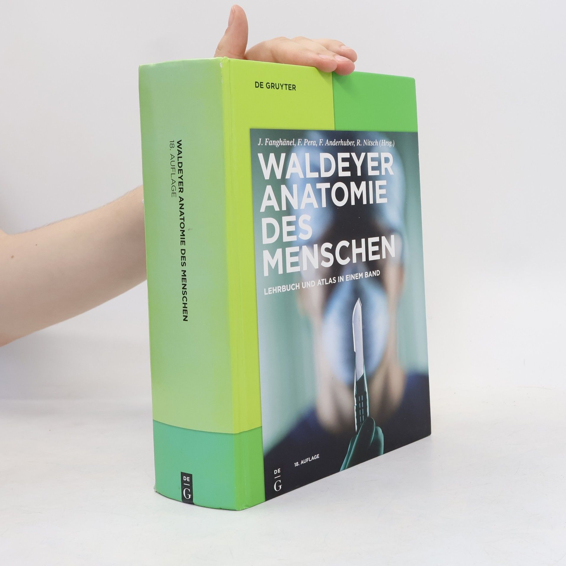 Autorenkollektiv Waldeyer Anatomie des Menschen