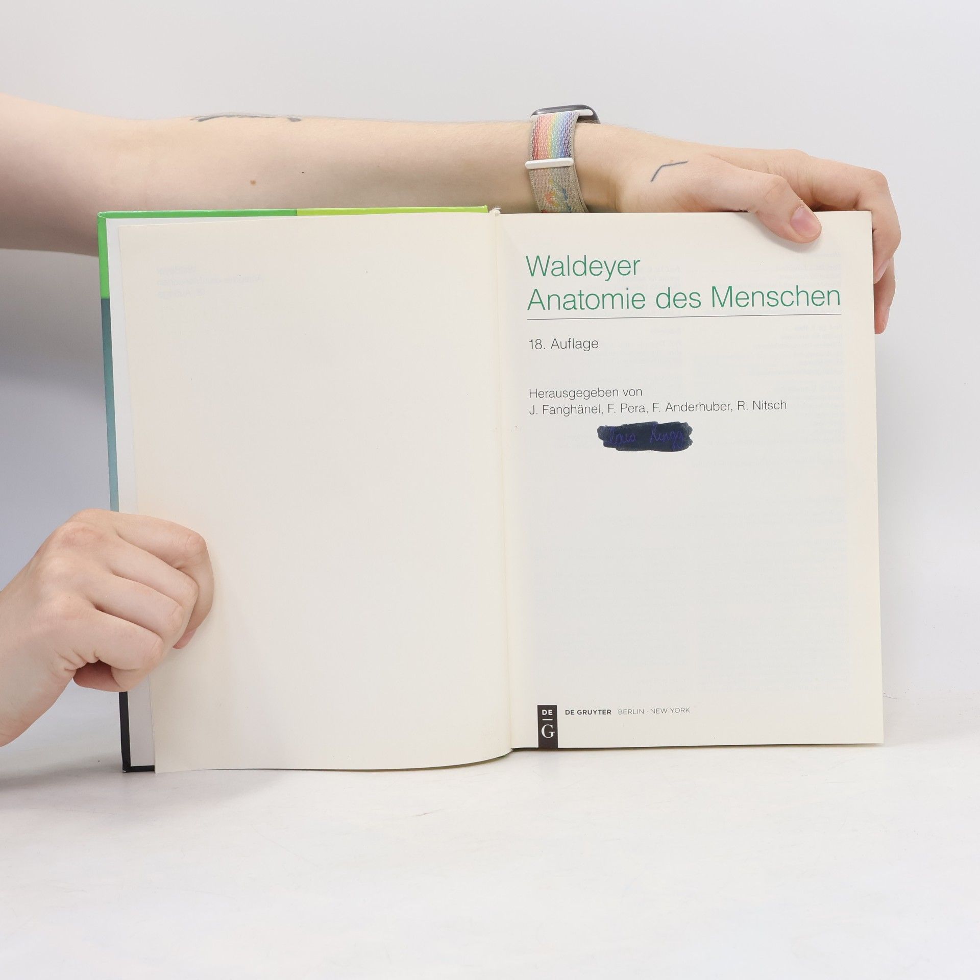 Autorenkollektiv Waldeyer Anatomie des Menschen
