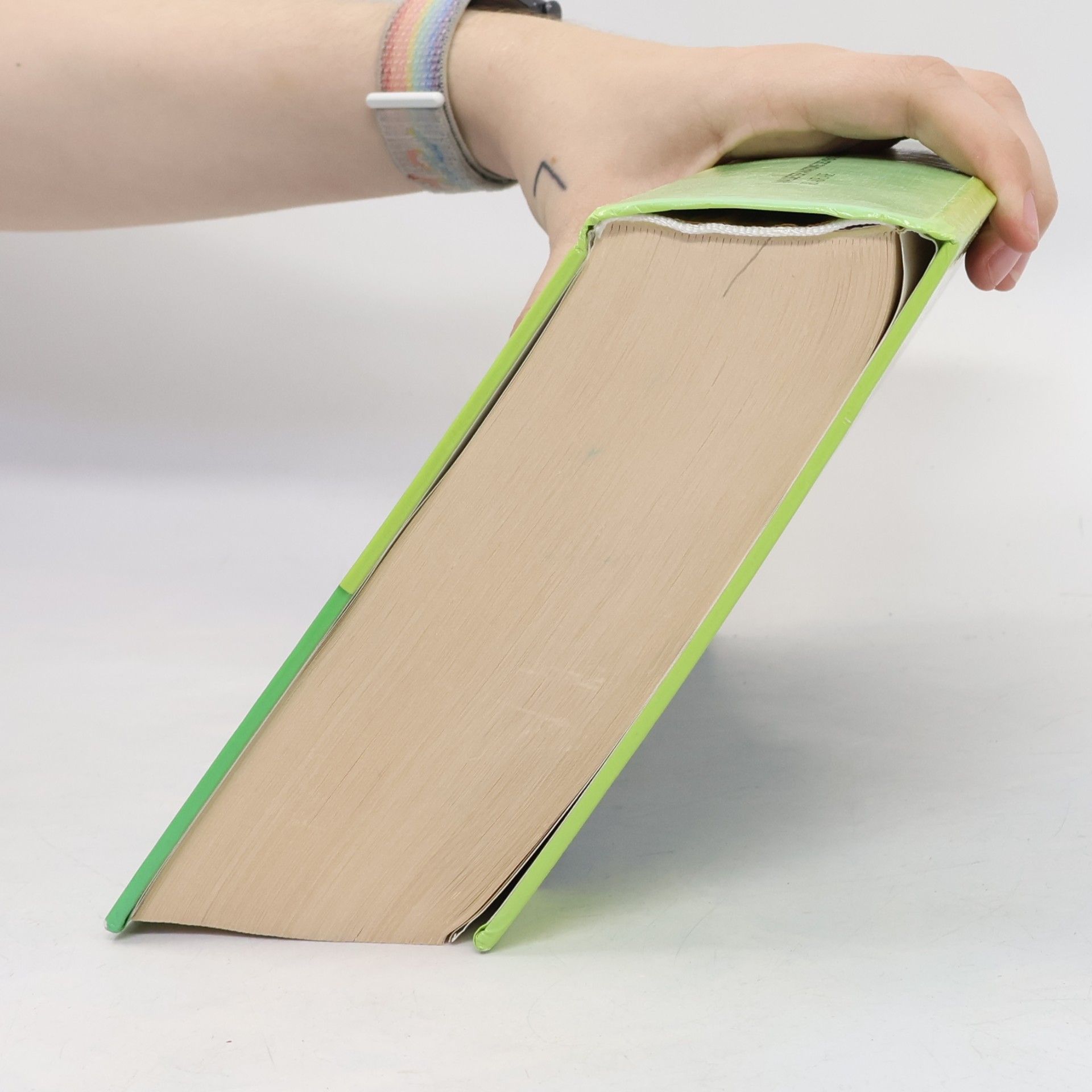 Autorenkollektiv Waldeyer Anatomie des Menschen