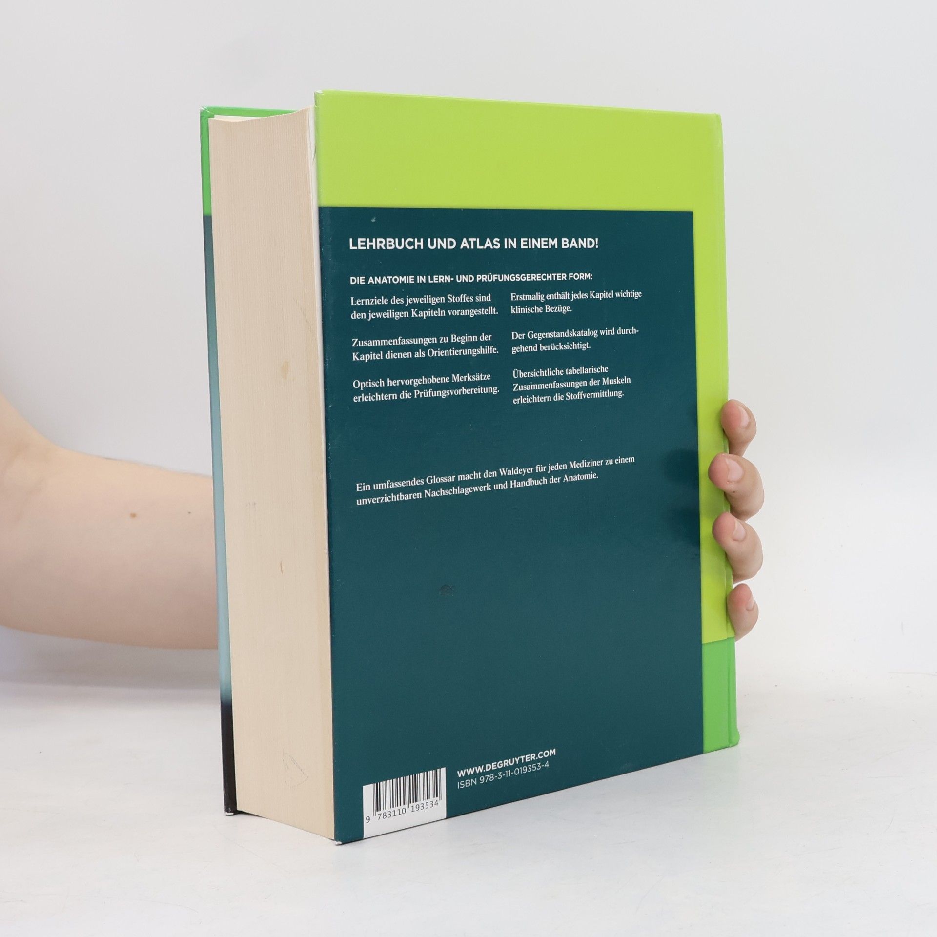 Autorenkollektiv Waldeyer Anatomie des Menschen