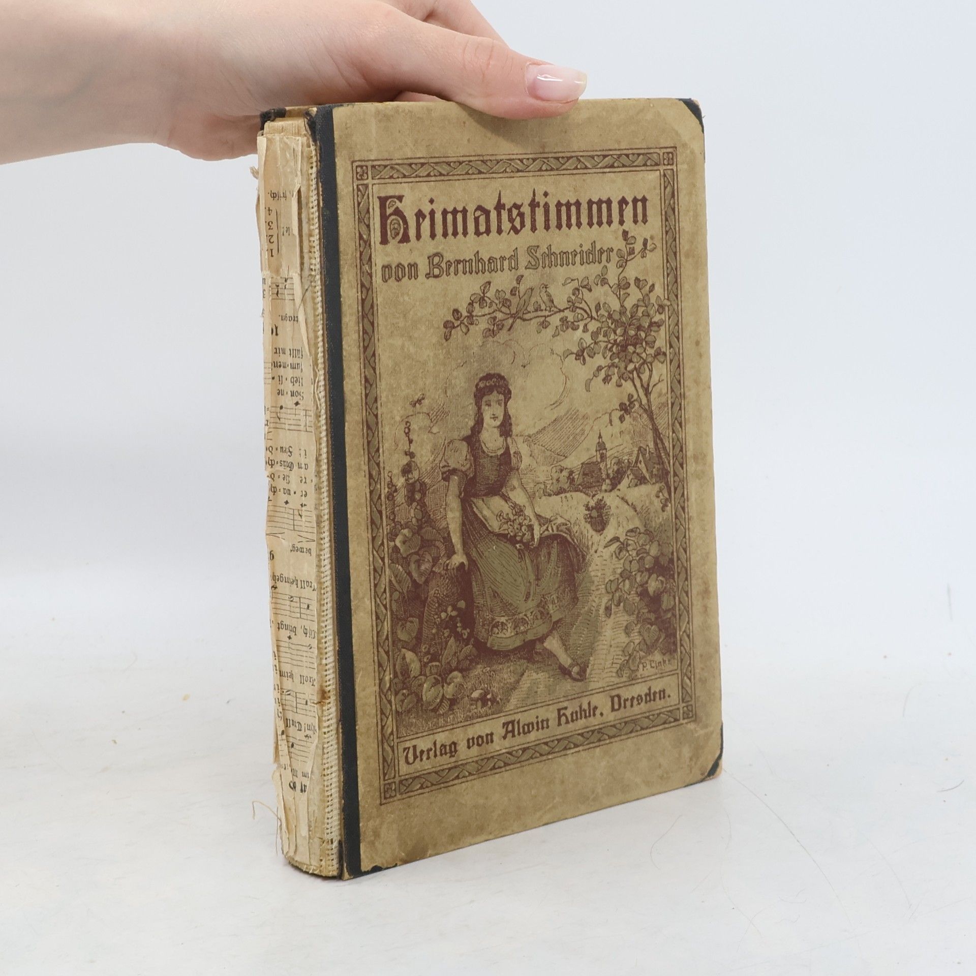 Bernhard Schneider Heimatstimmen