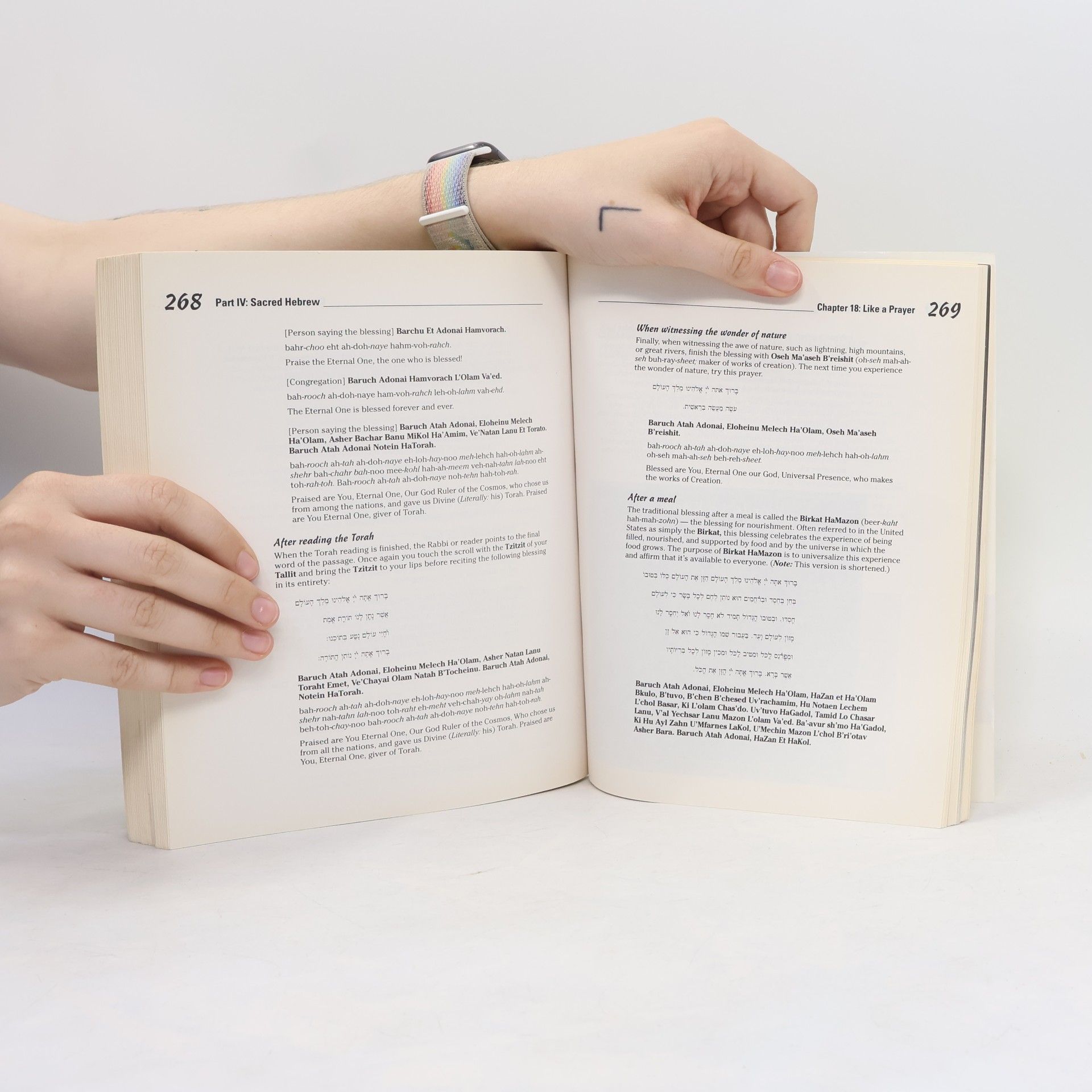 Jill Suzanne Jacobs Hebrew for dummies