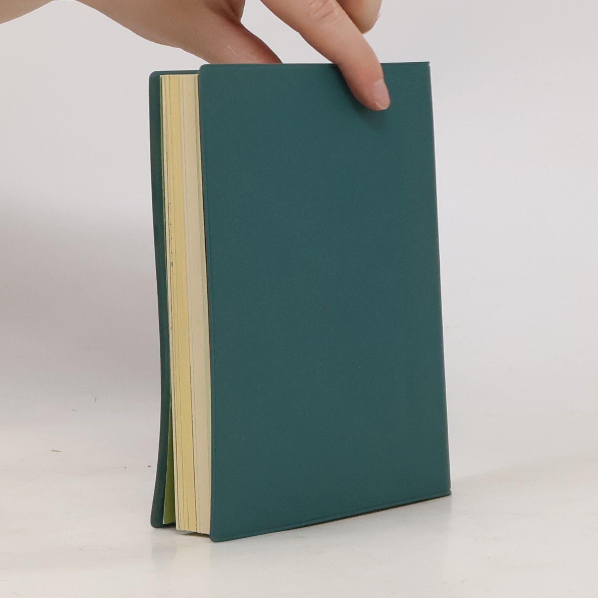Werner Kunzenmann Soldaten Taschenbuch