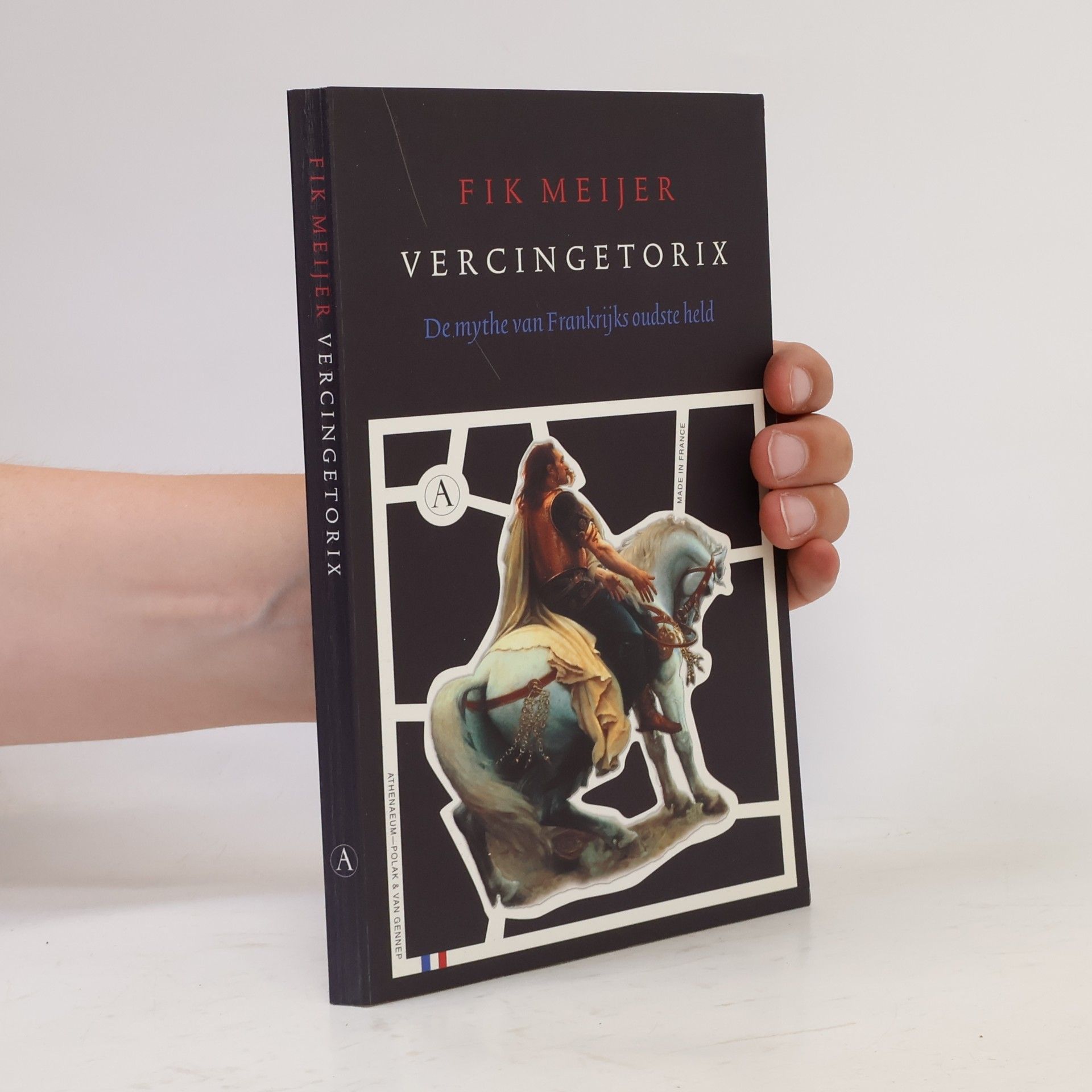 Fik Meijer Vercingetorix