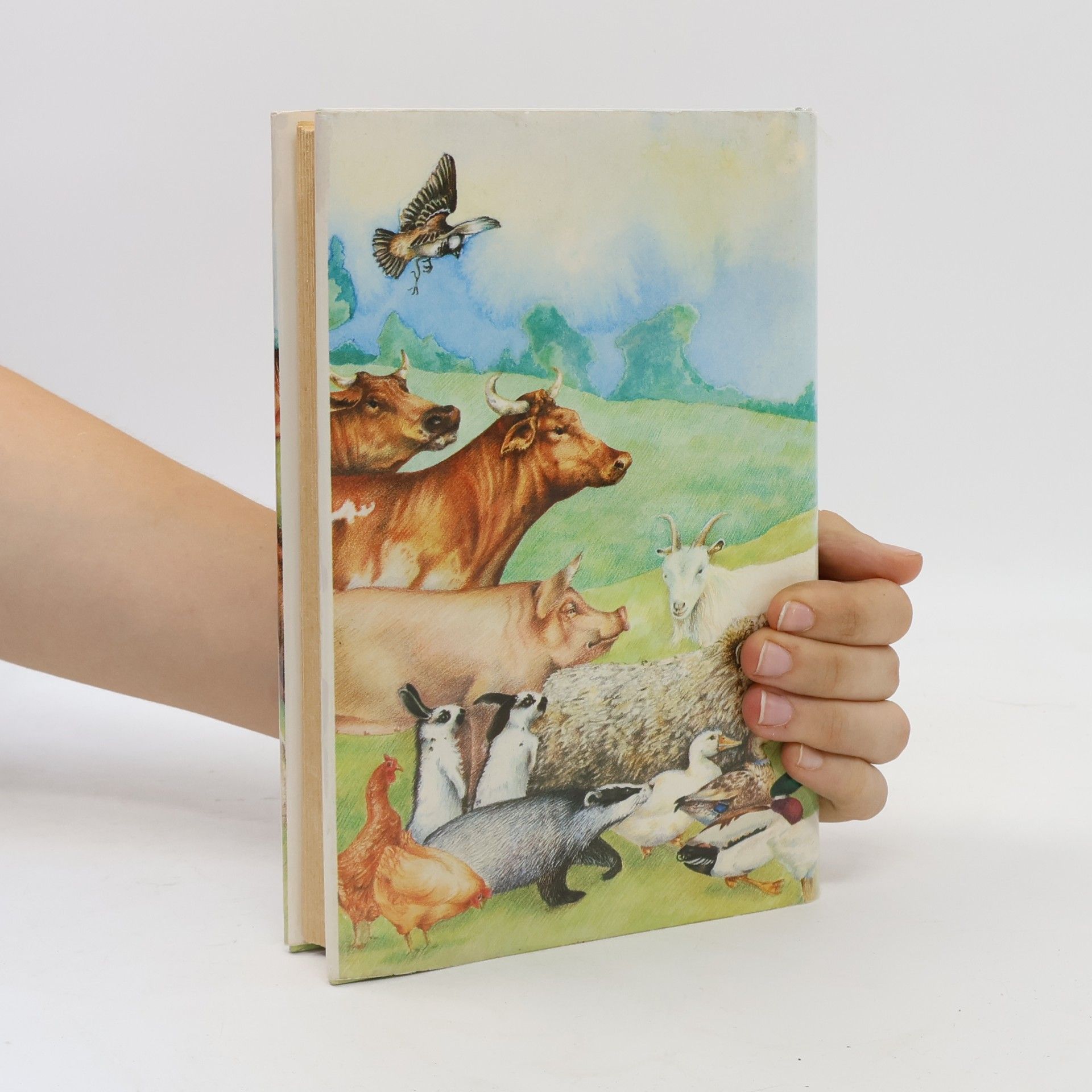 Hugh Ross Williamson A children´s book of Saints