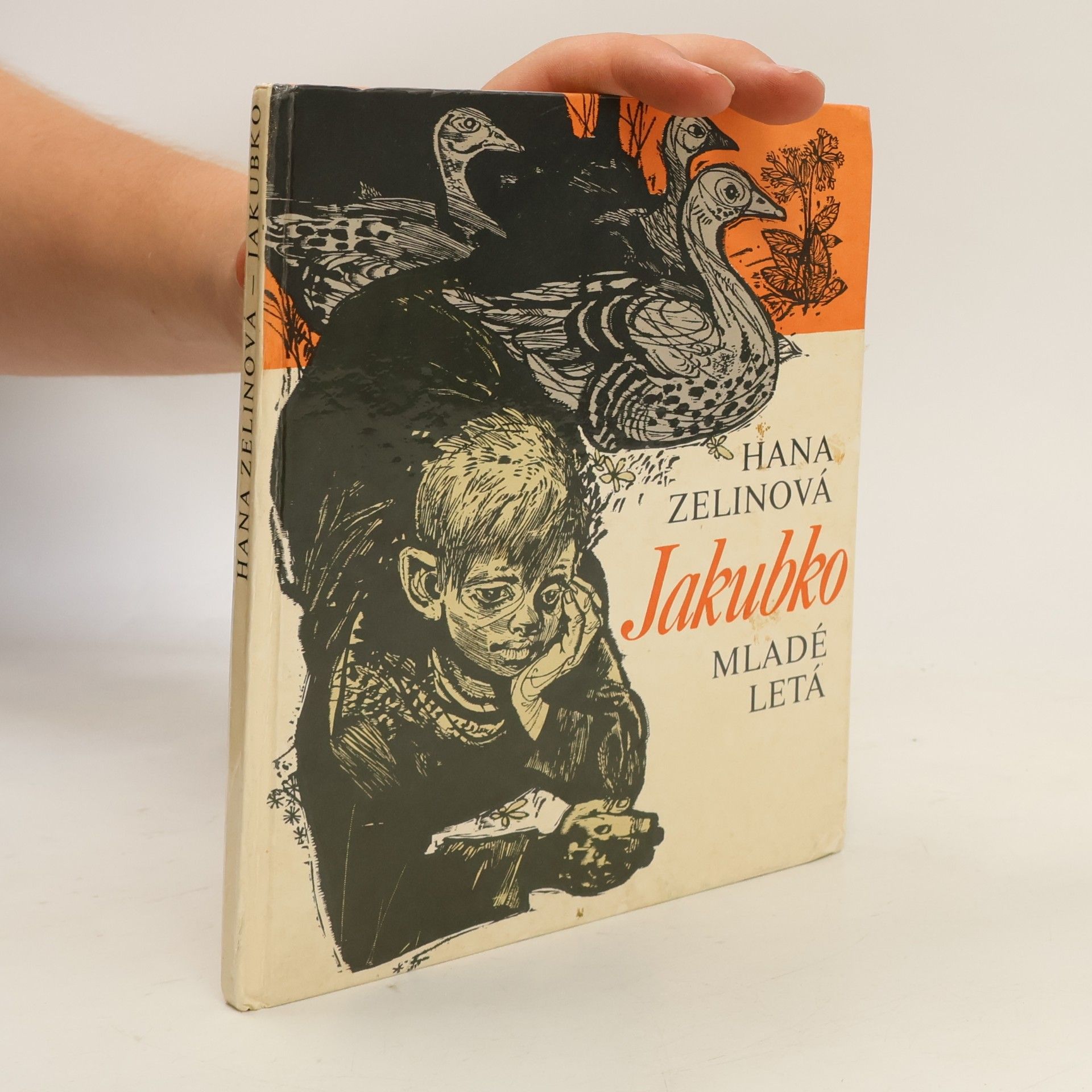 Hana Zelinová Jakubko